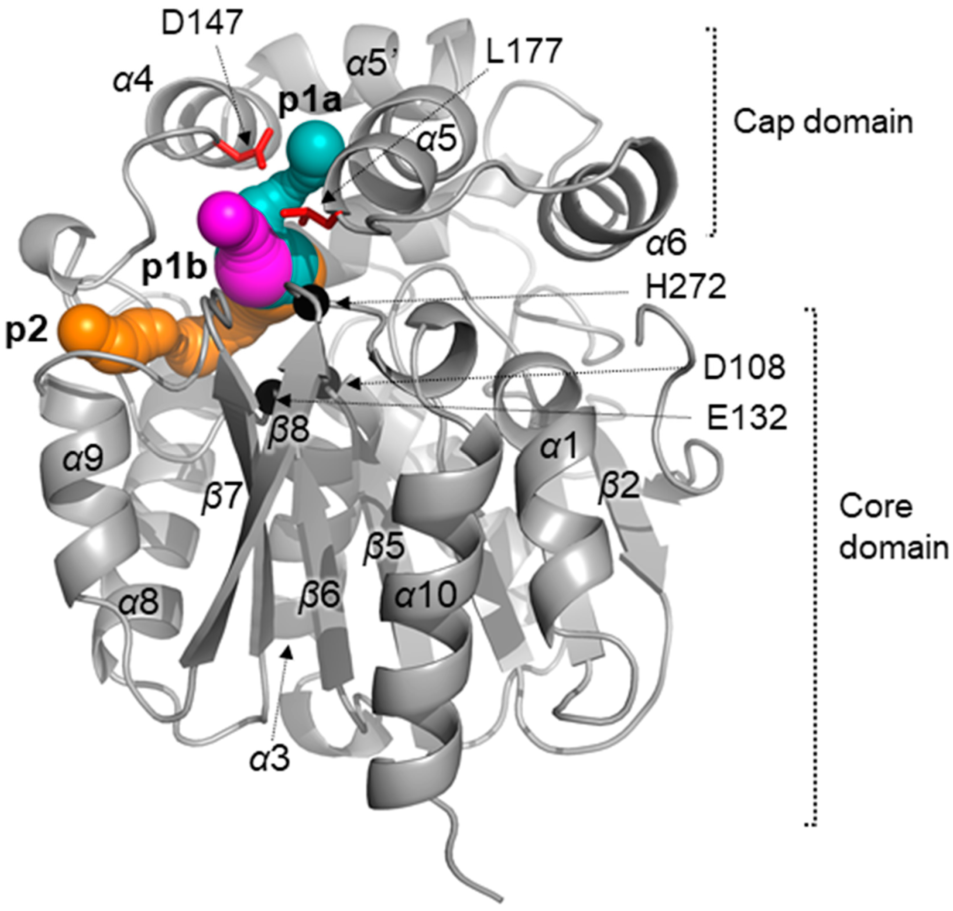 Catalysts 11 00005 g001 Catalysts 11 00005 g001