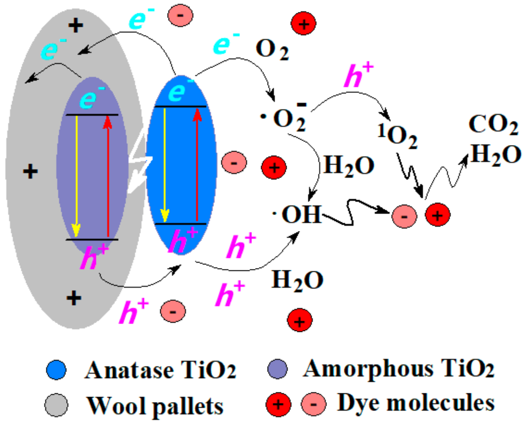 Catalysts 11 00012 g007 Catalysts 11 00012 g007