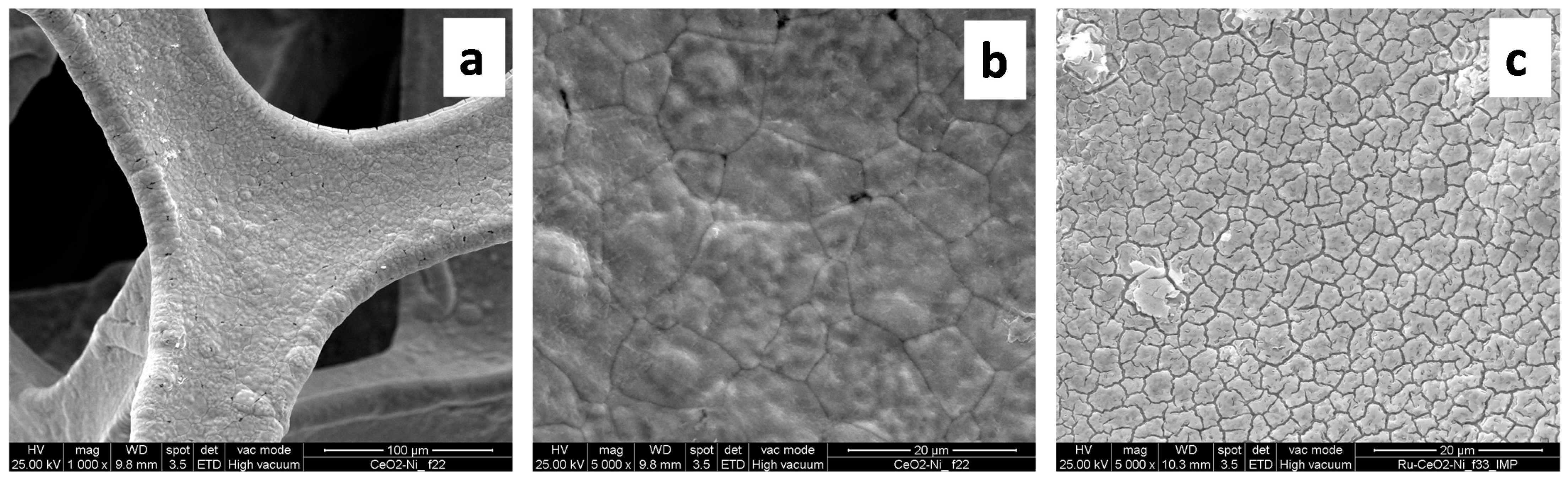 Catalysts 11 00013 g002 Catalysts 11 00013 g002