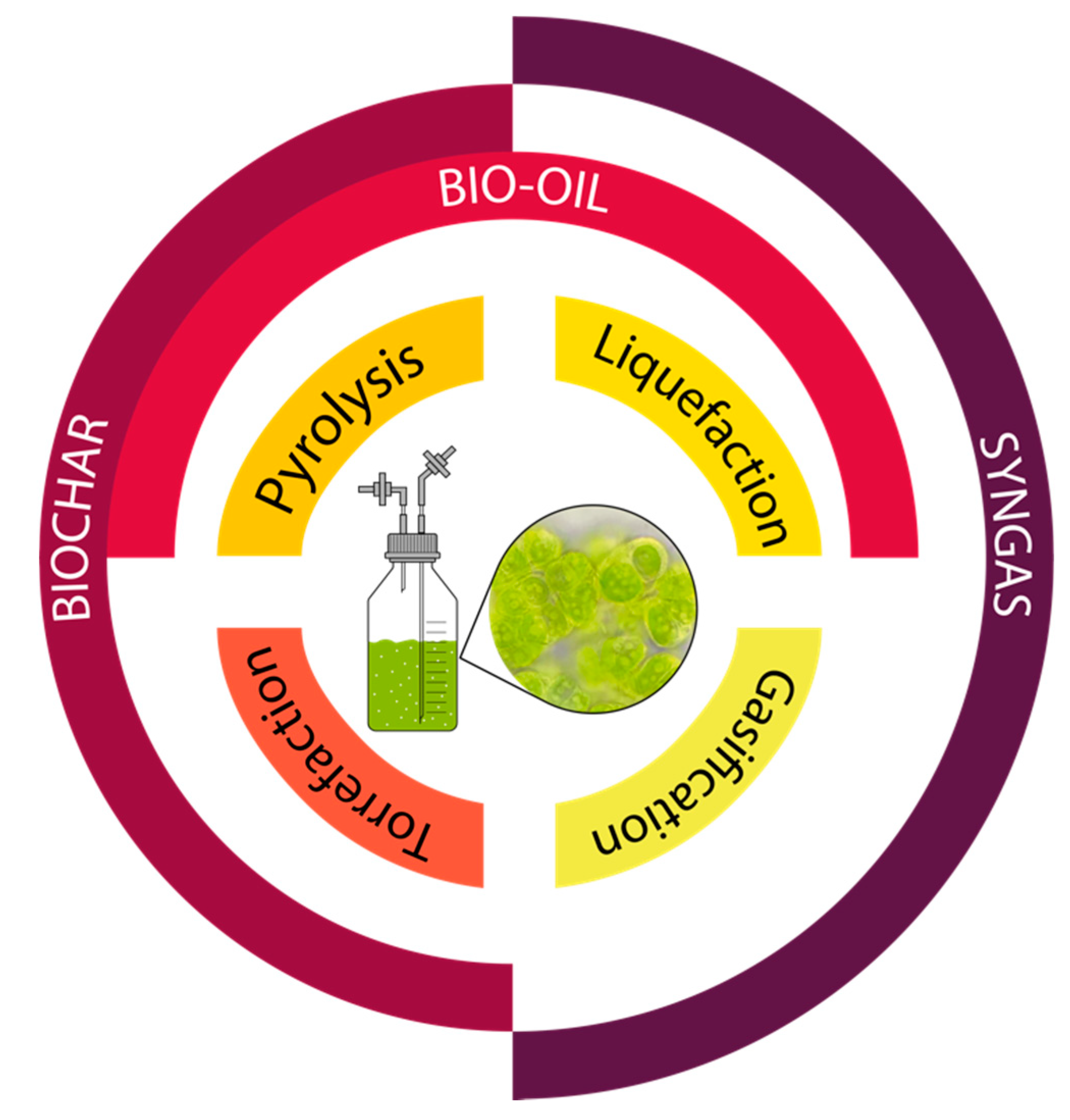 Catalysts 11 00022 g002 Catalysts 11 00022 g002