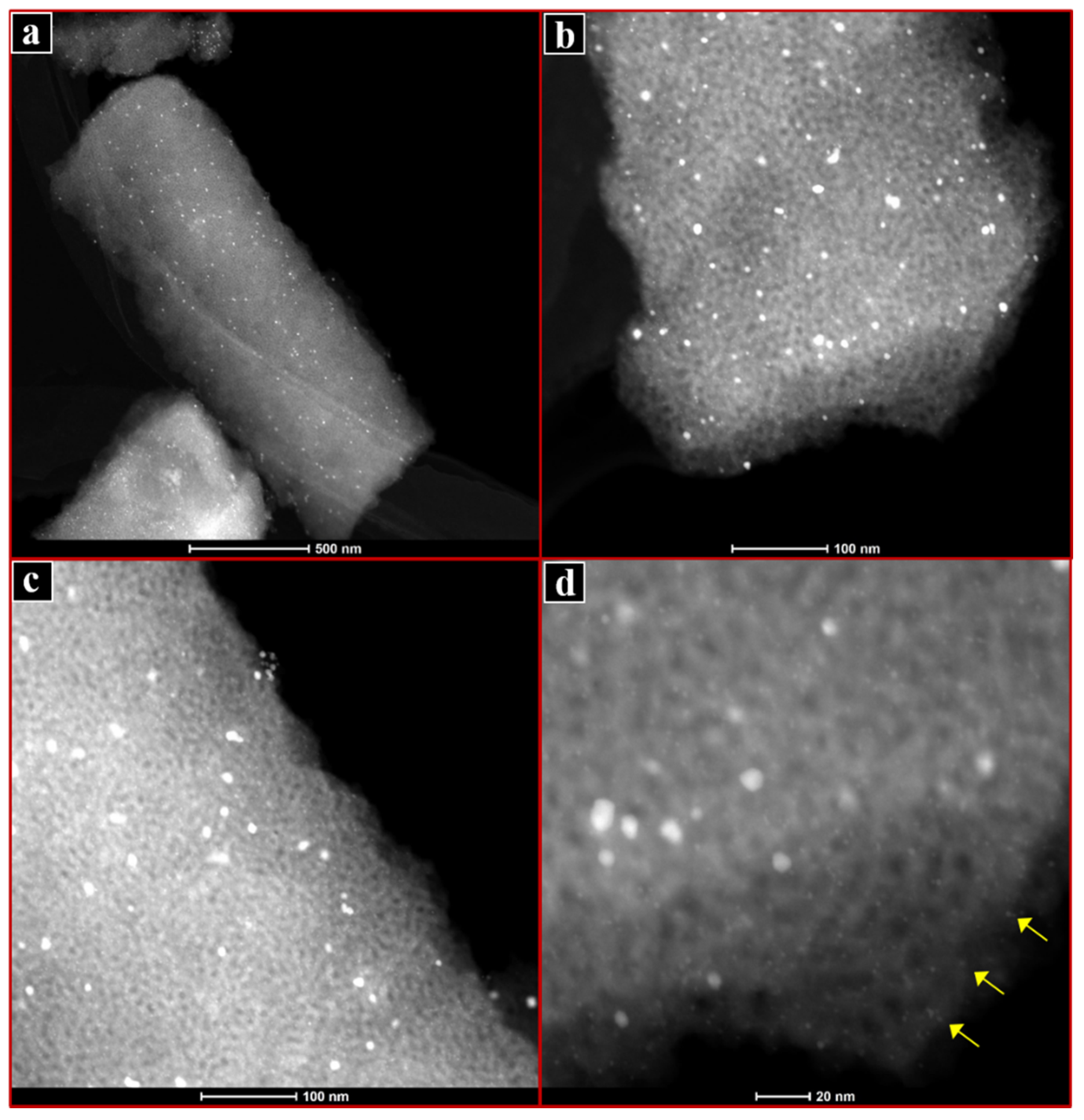 Catalysts 11 00023 g004 Catalysts 11 00023 g004