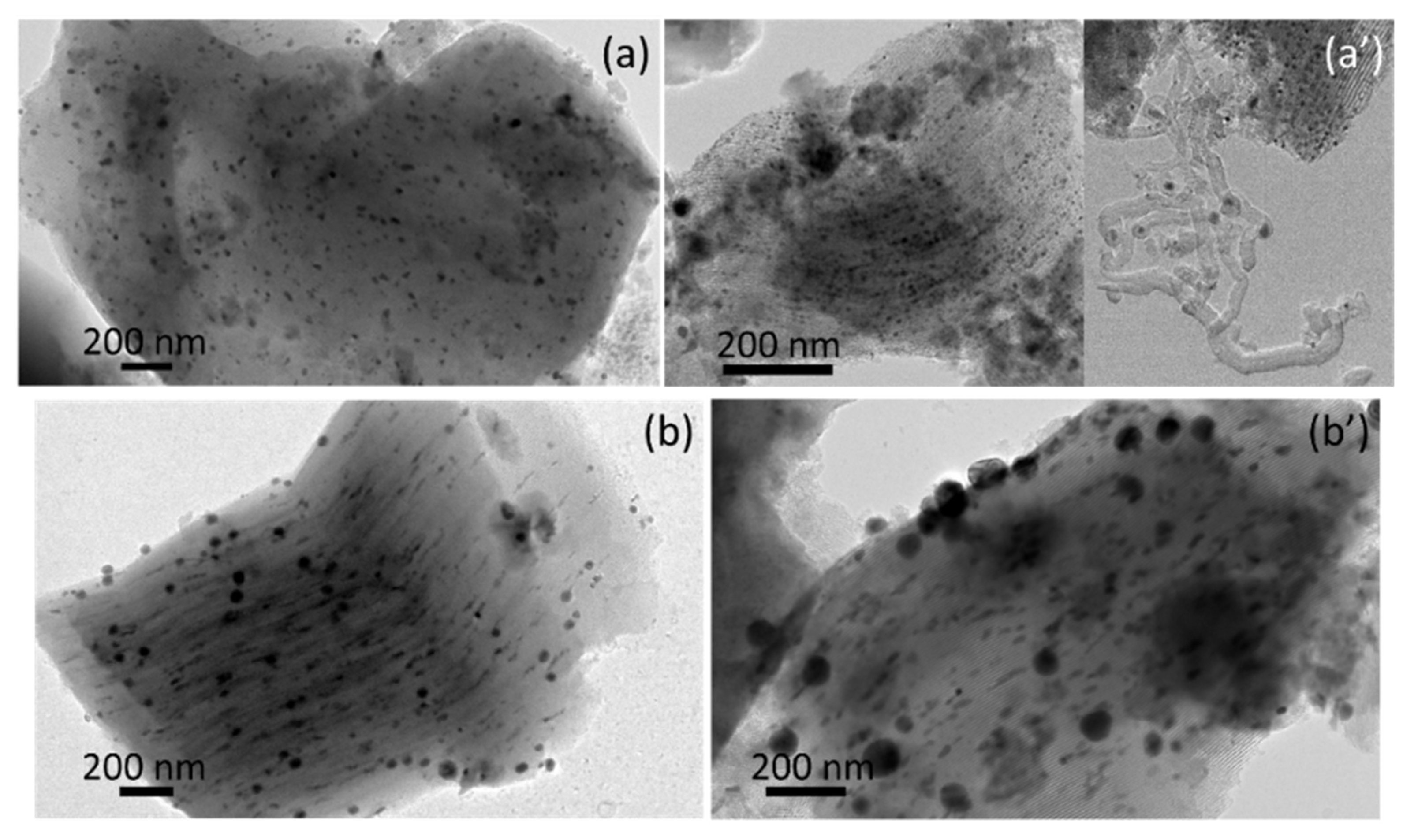 Catalysts 11 00044 g006 Catalysts 11 00044 g006