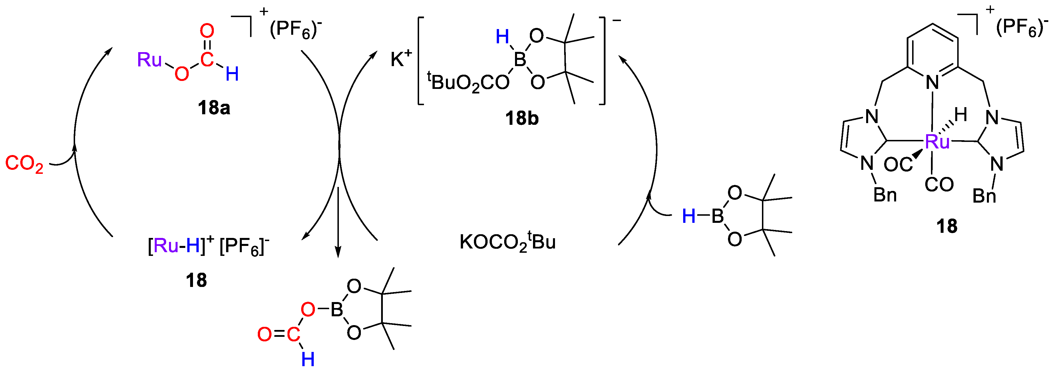 Catalysts 11 00058 sch034 Catalysts 11 00058 sch034