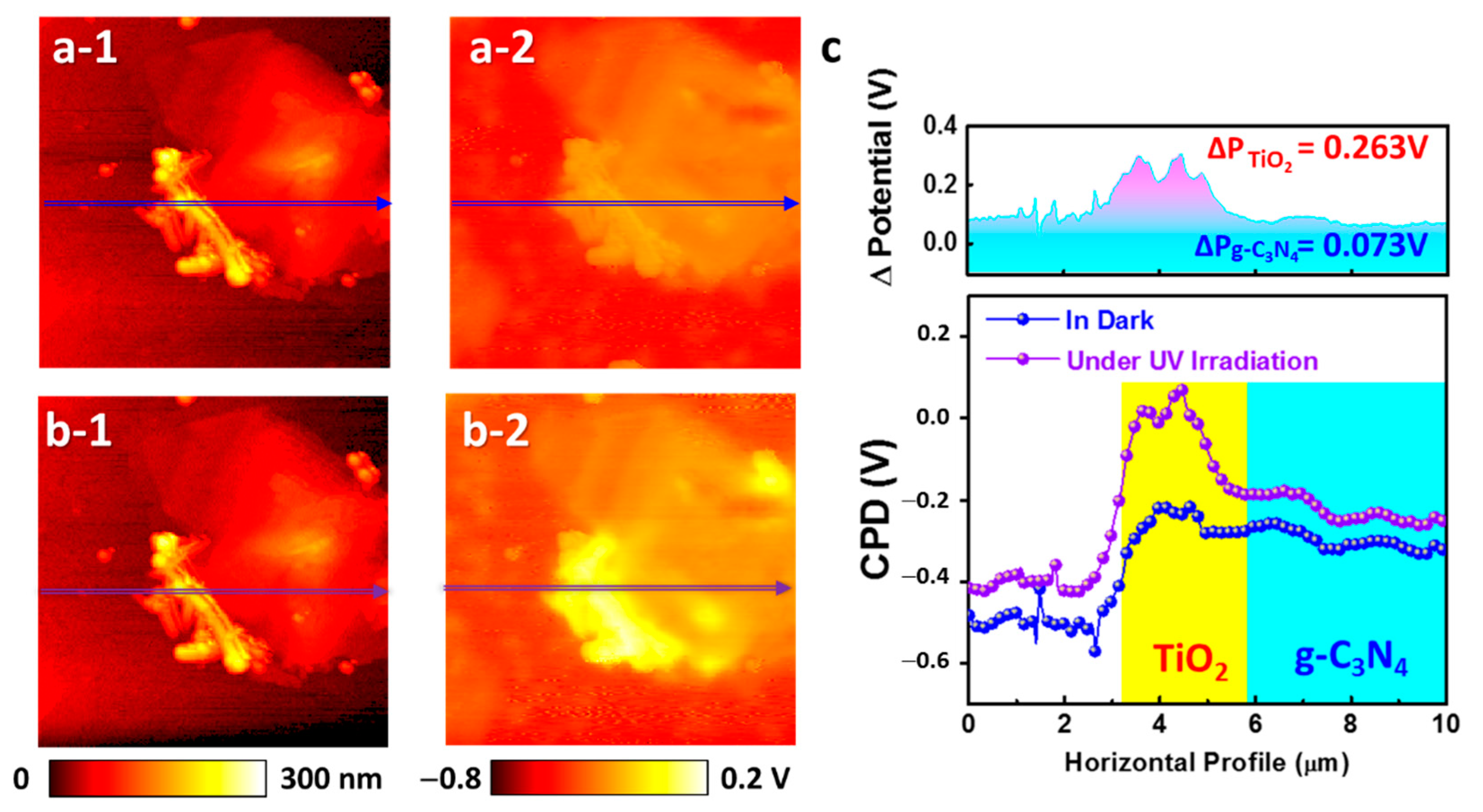 Catalysts 11 00059 g009 Catalysts 11 00059 g009