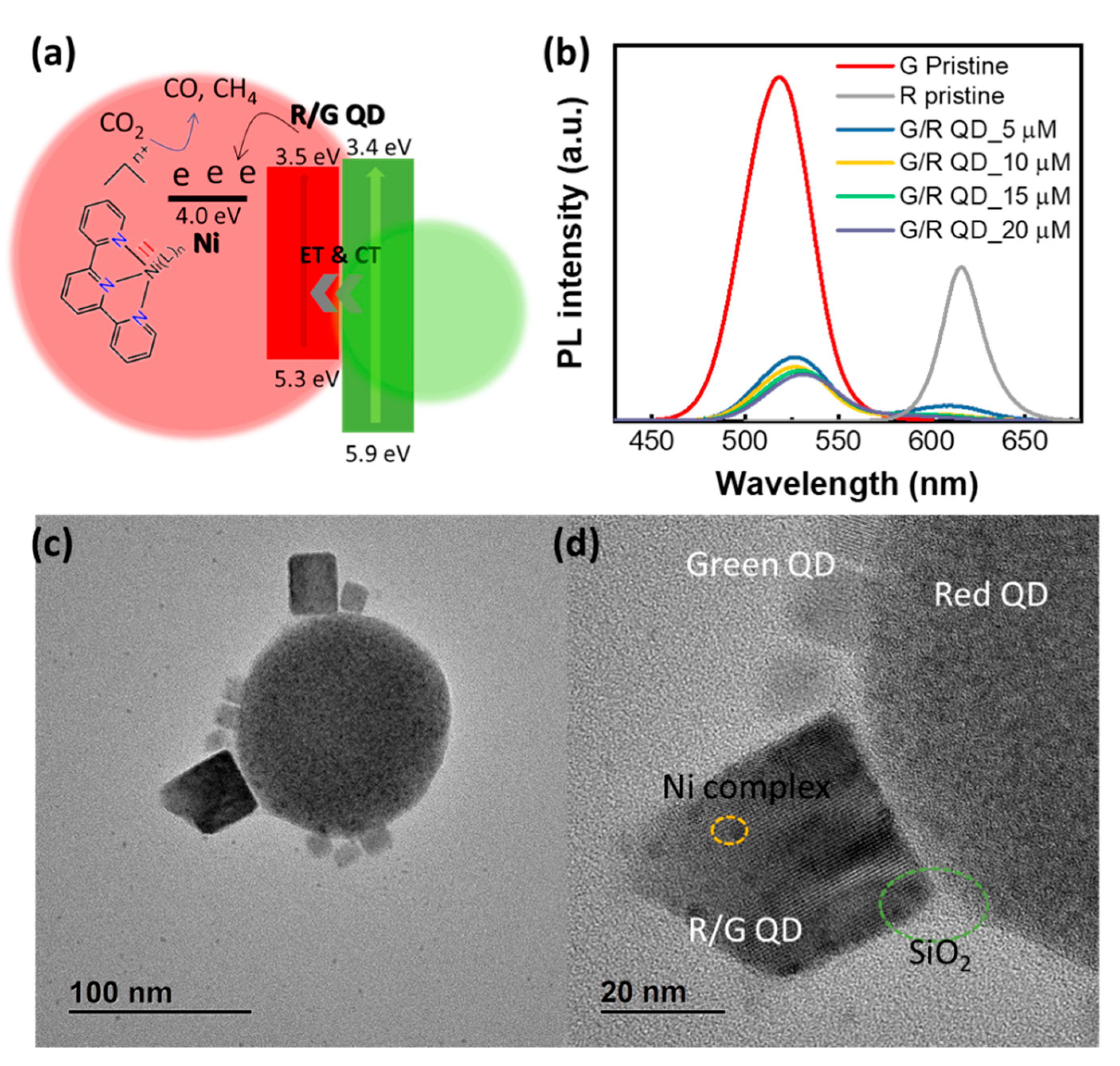 Catalysts 11 00061 g007