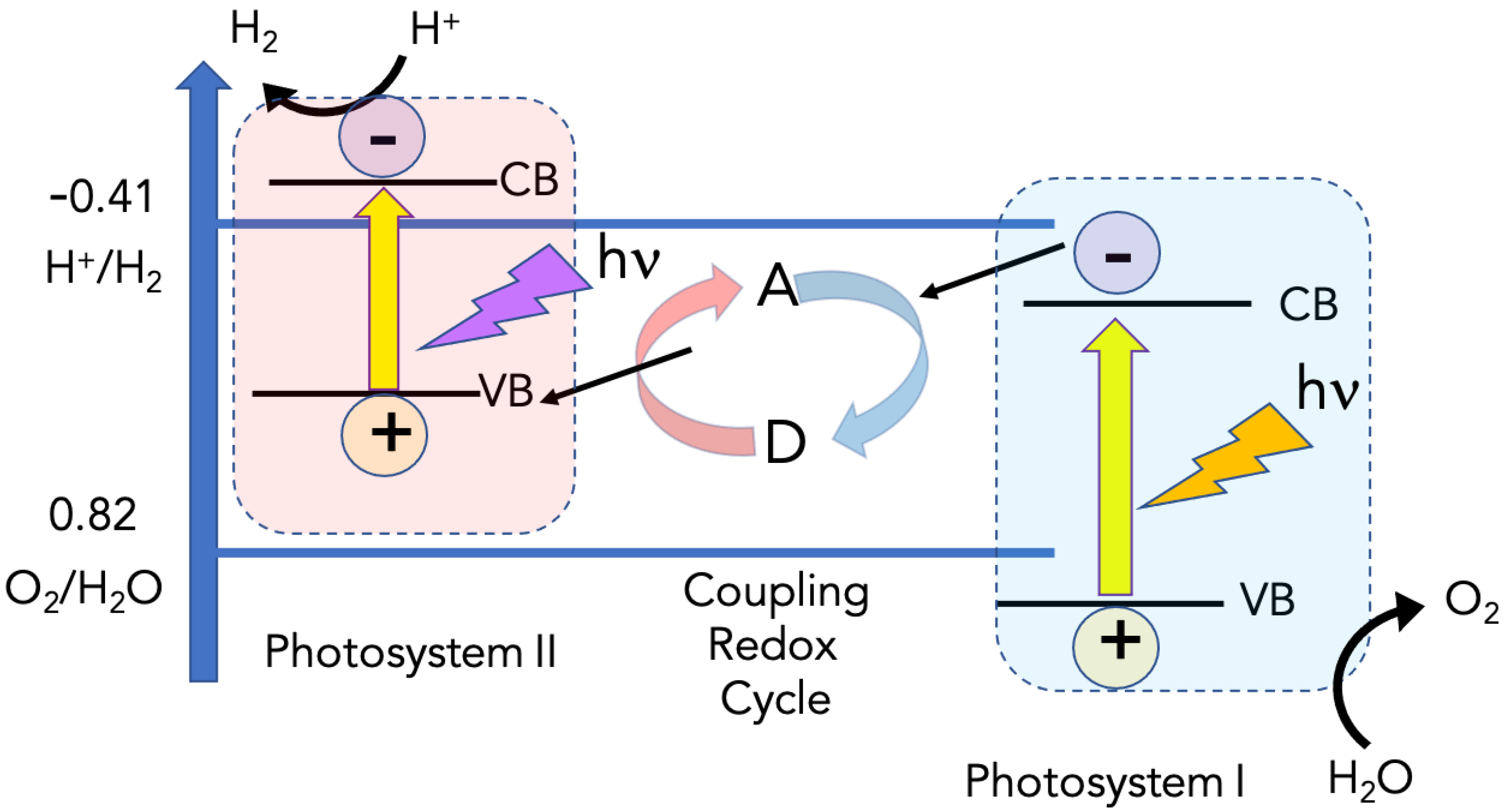 Catalysts 11 00064 g008