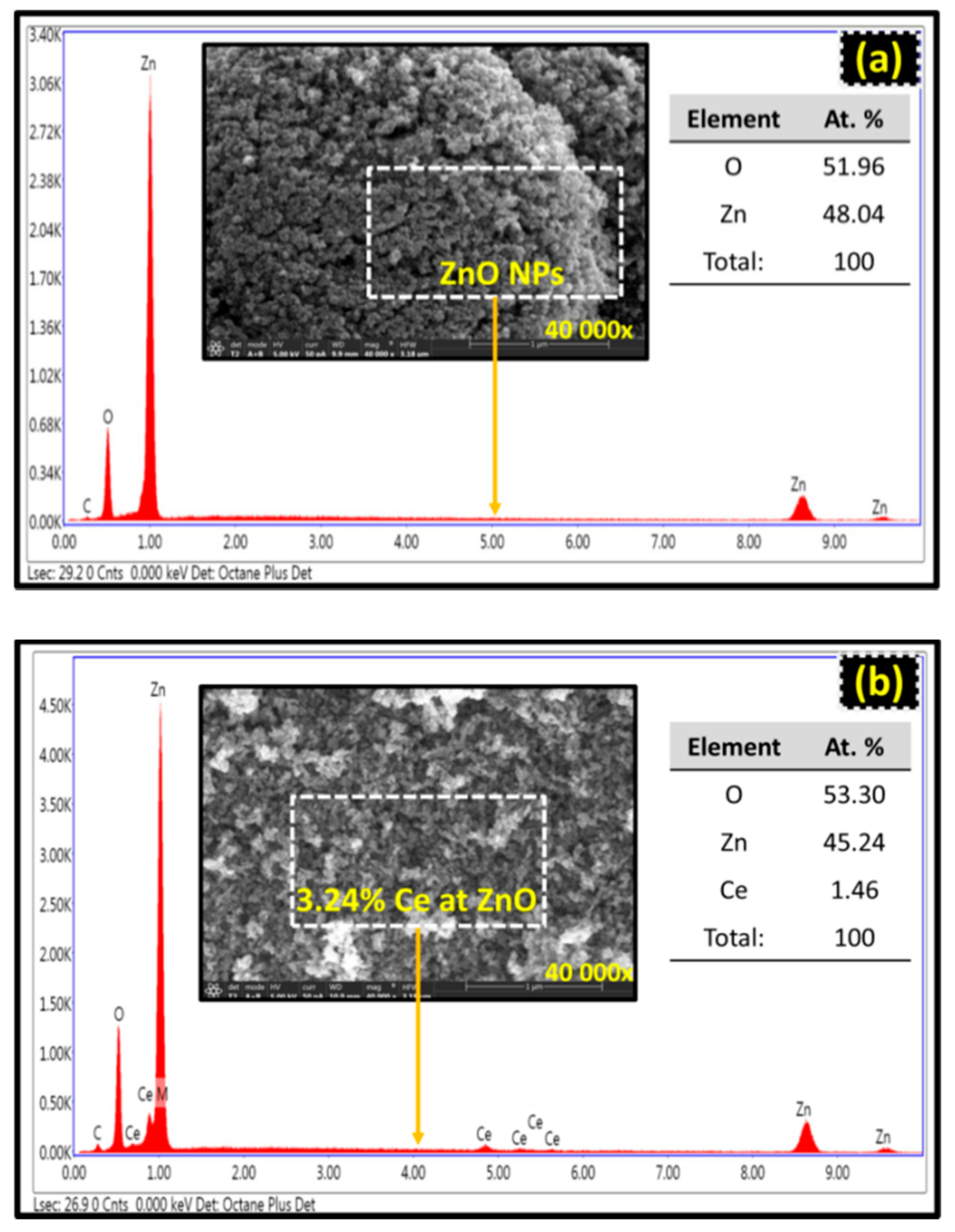 Catalysts 11 00071 g006