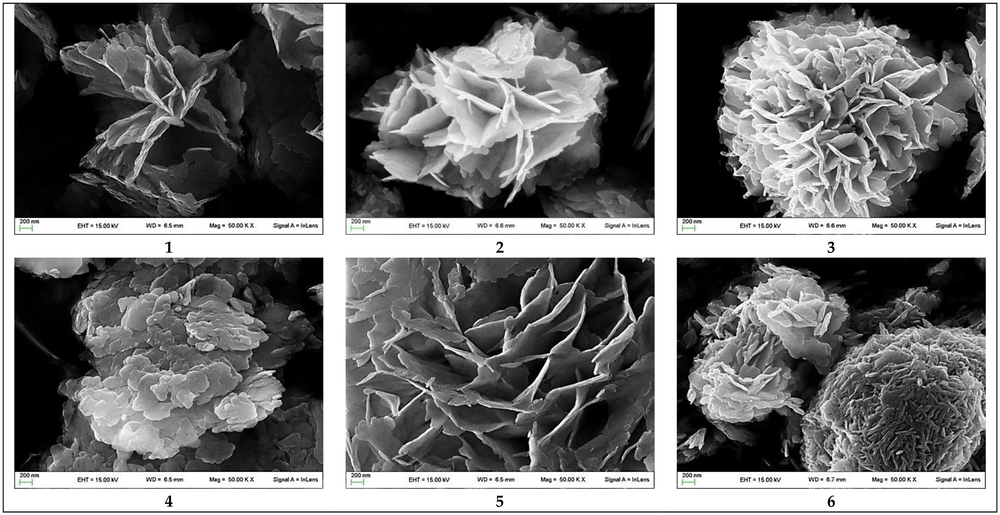 Catalysts 11 00081 g002a Catalysts 11 00081 g002a