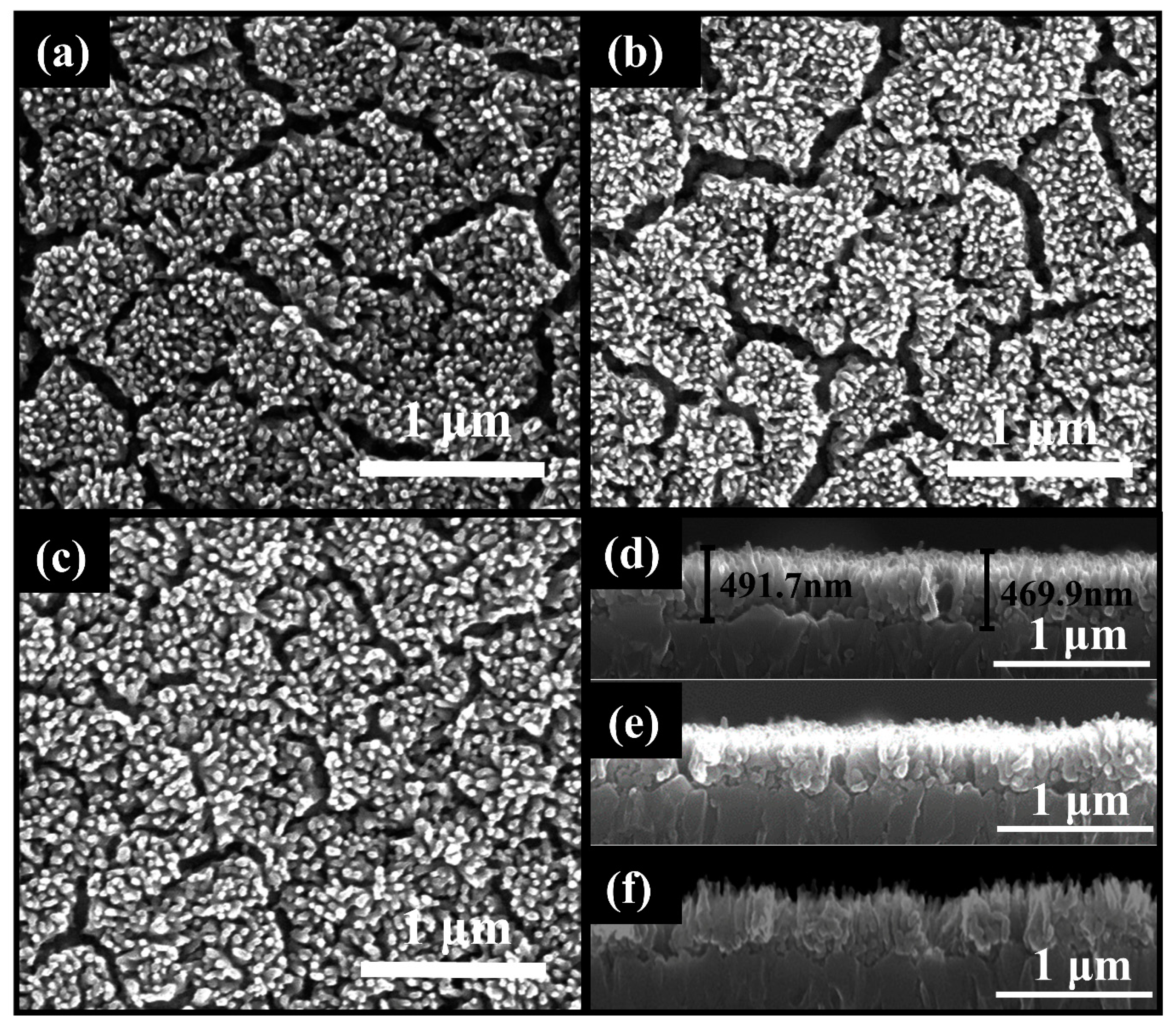Catalysts 11 00082 g001