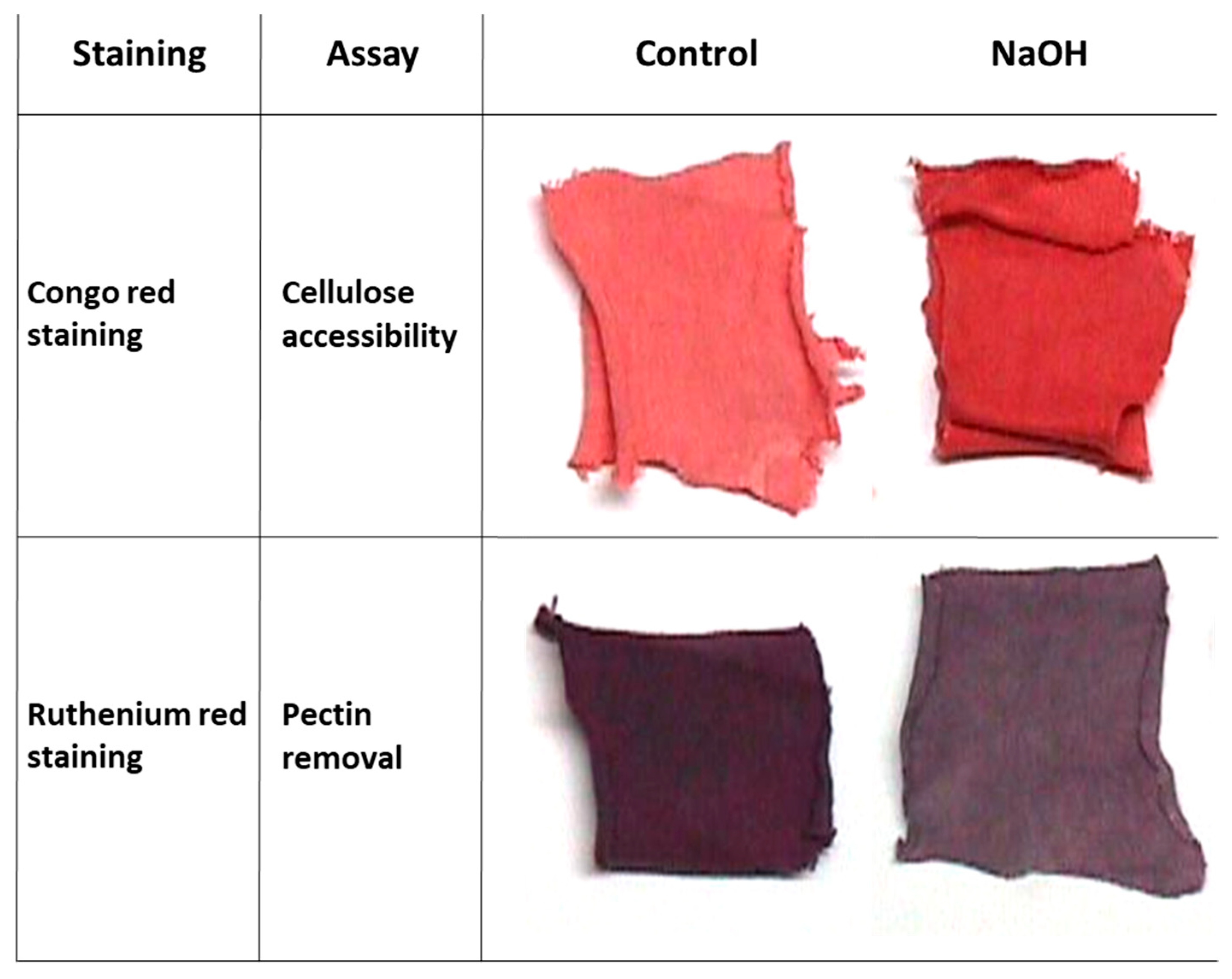 Catalysts 11 00084 g001
