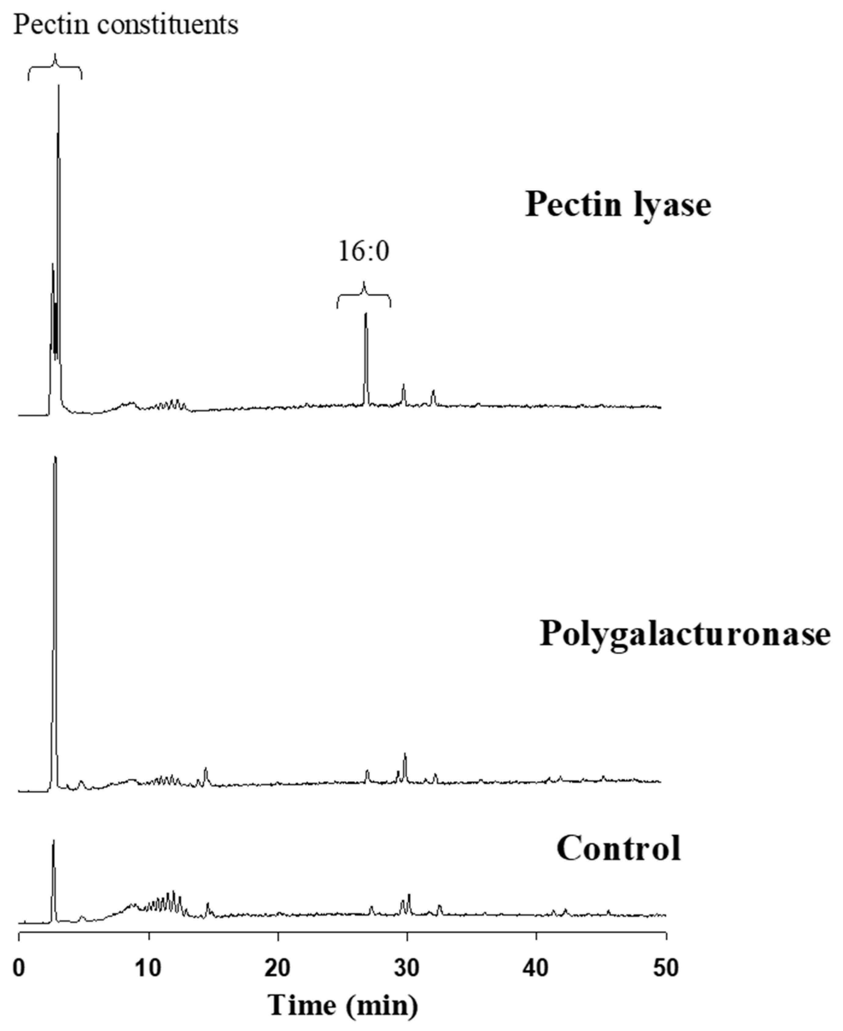 Catalysts 11 00084 g005