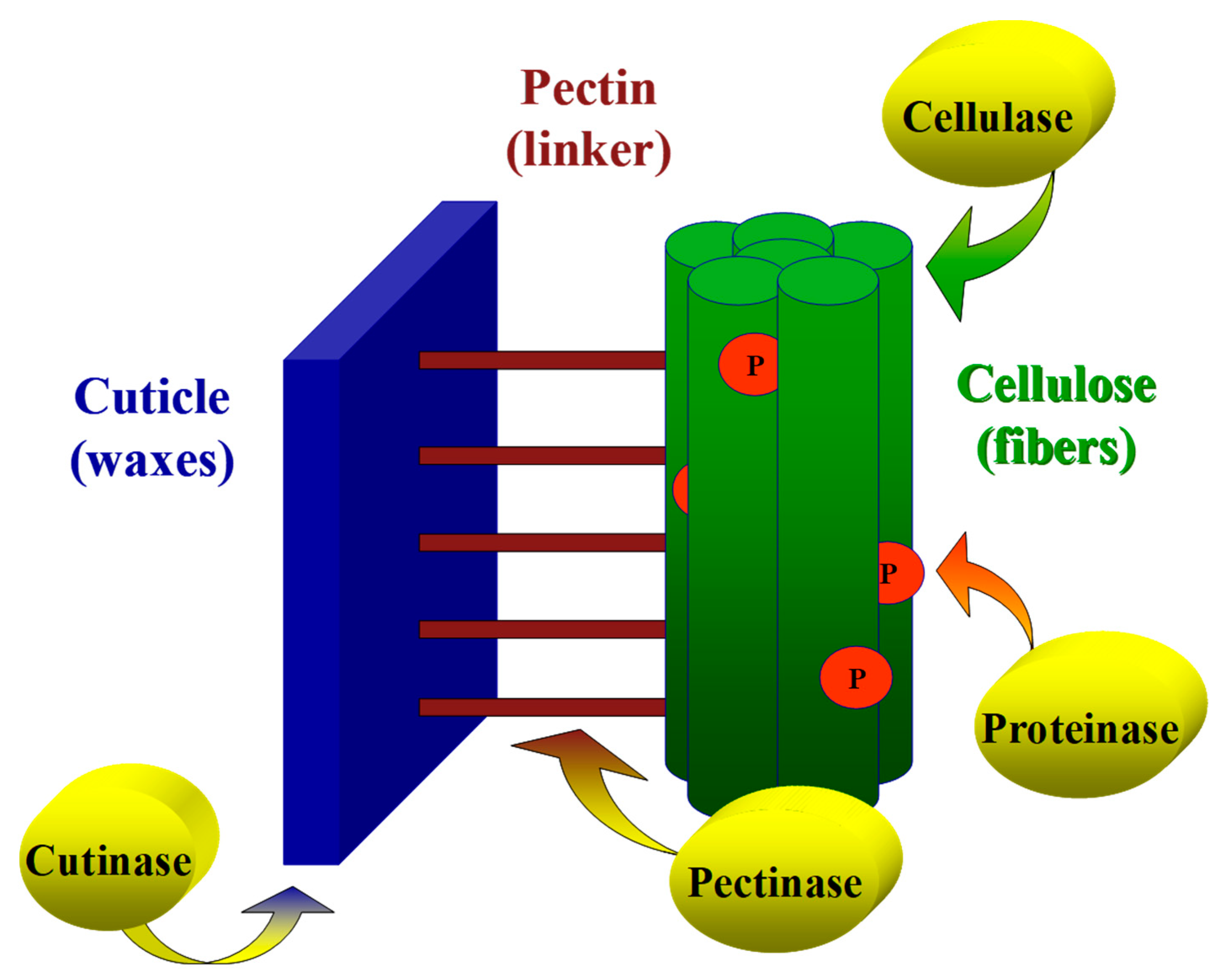 Catalysts 11 00084 g009