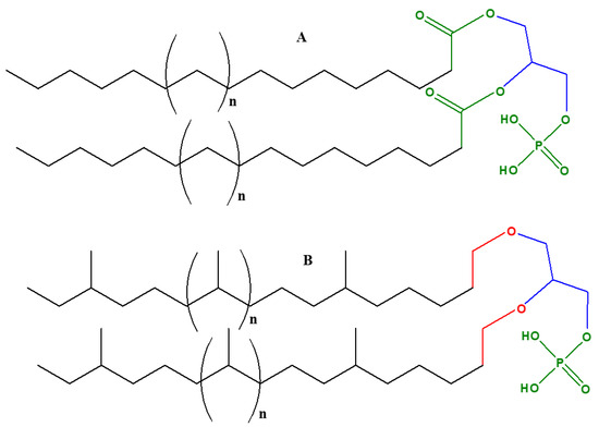 Catalysts 11 00086 g002 550