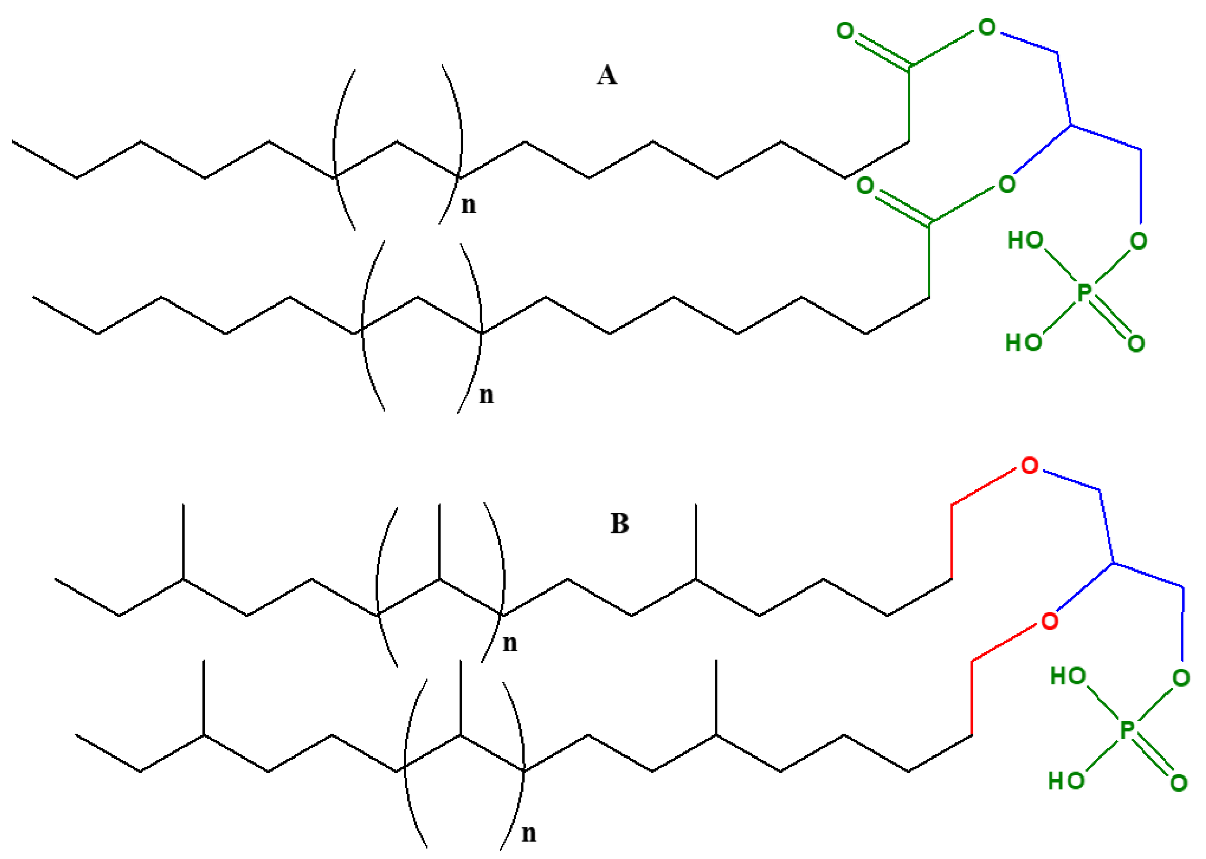 Catalysts 11 00086 g002 Catalysts 11 00086 g002