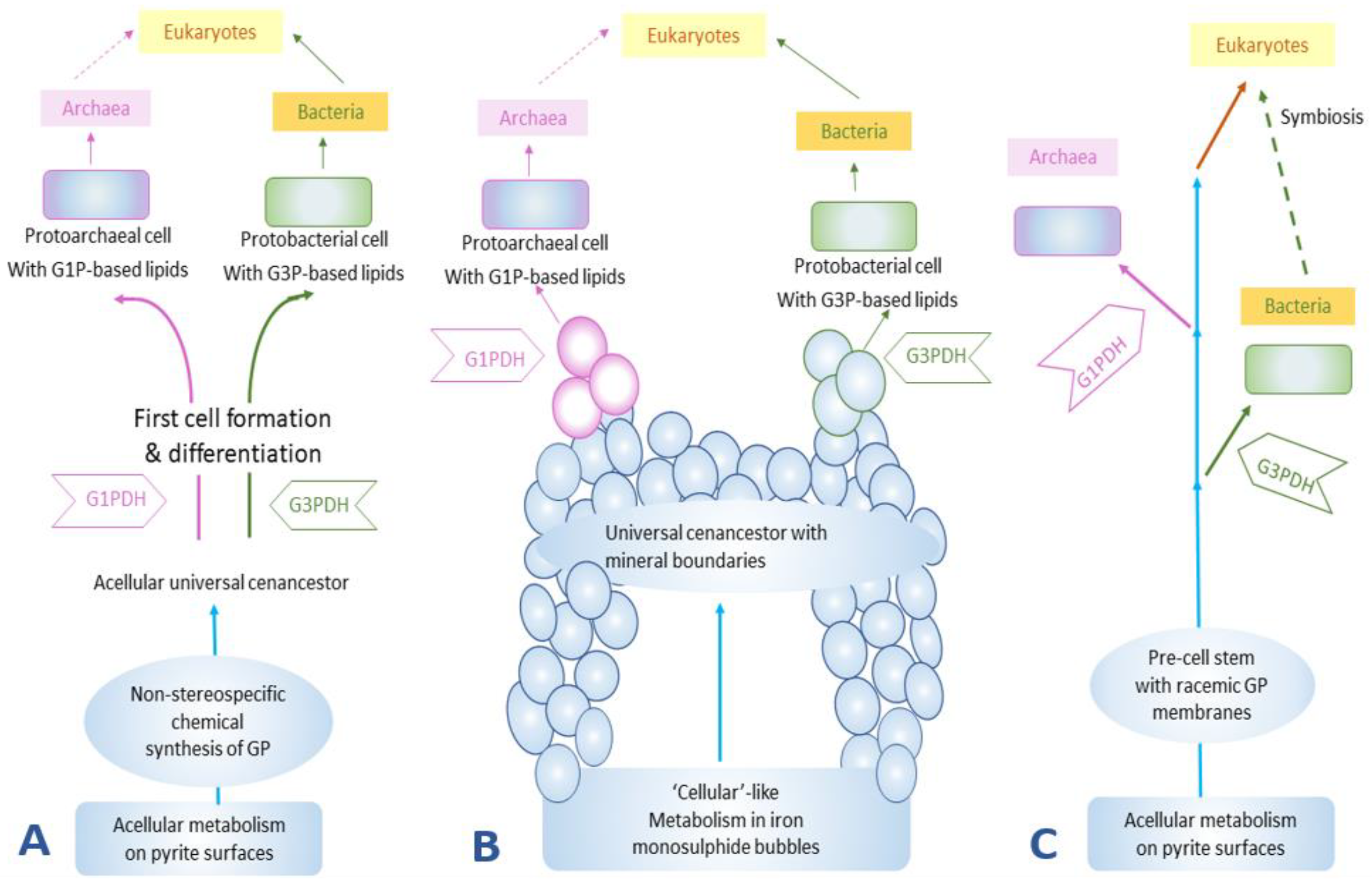 Catalysts 11 00086 g003 Catalysts 11 00086 g003
