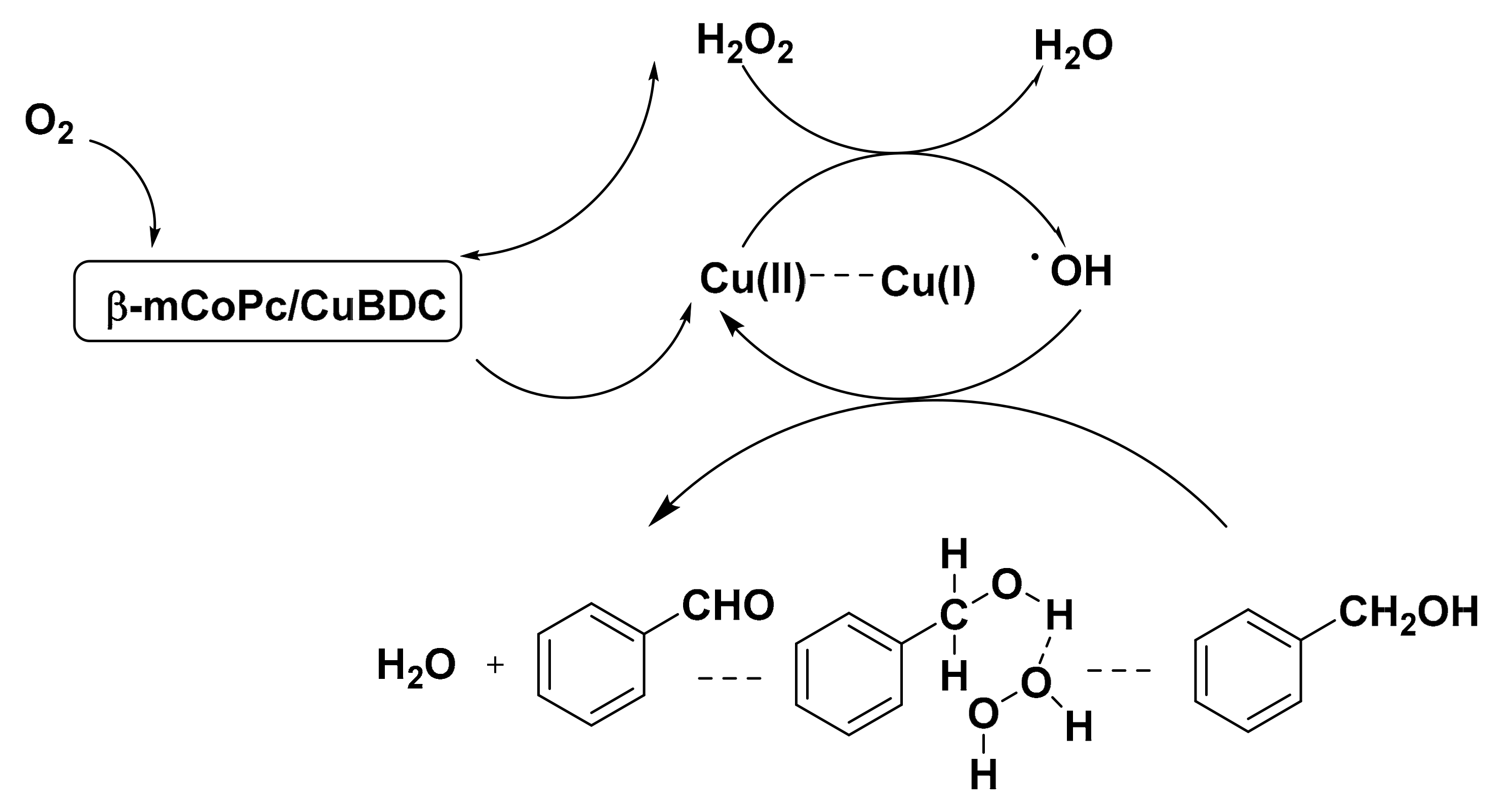 Catalysts 11 00095 g003