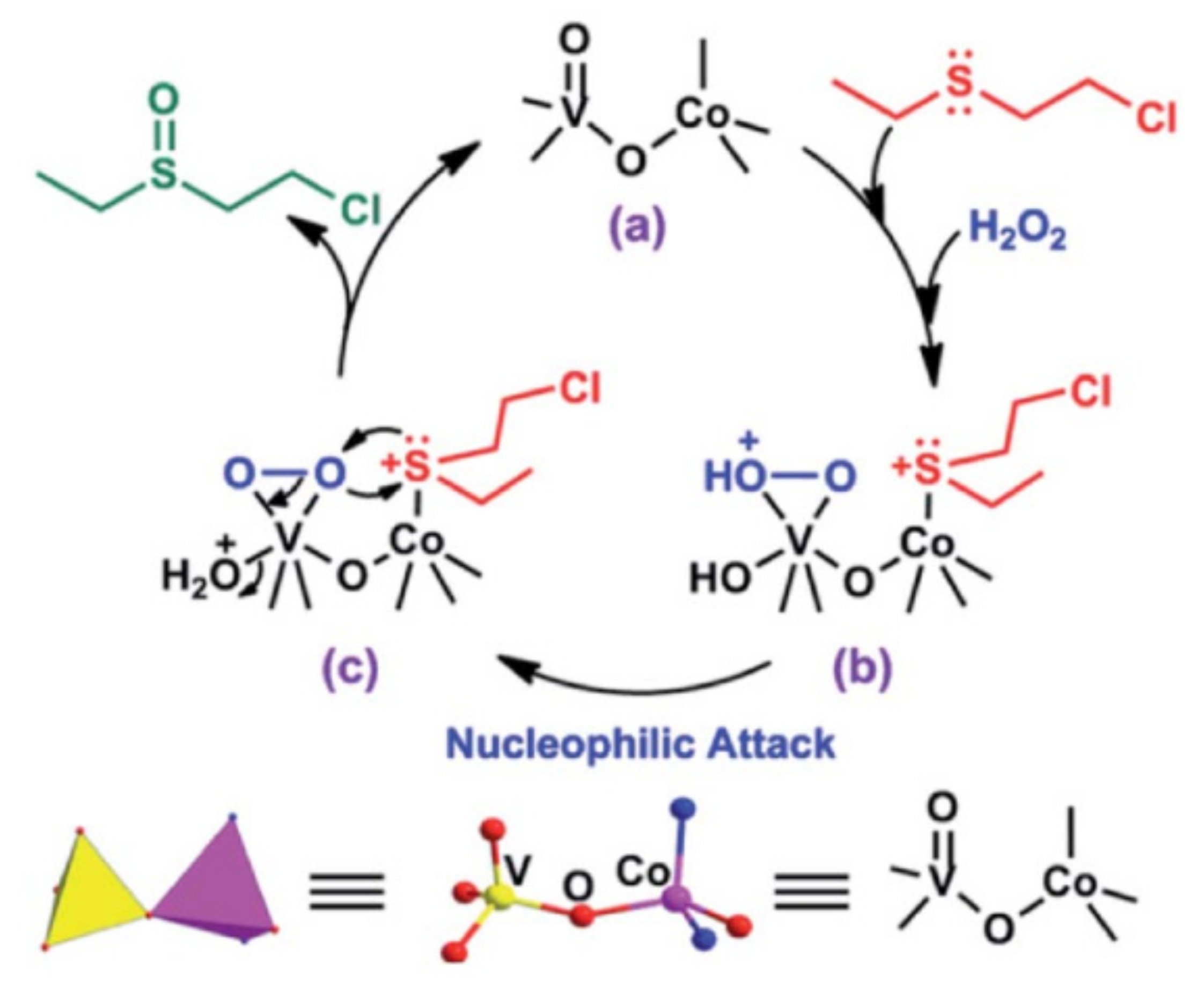 Catalysts 11 00095 g013