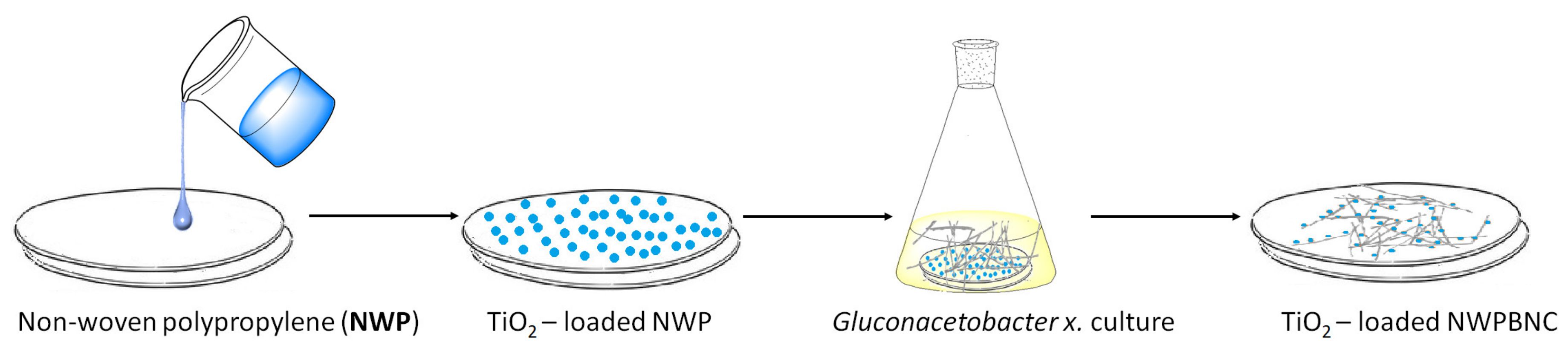 Catalysts 11 00096 g002 Catalysts 11 00096 g002