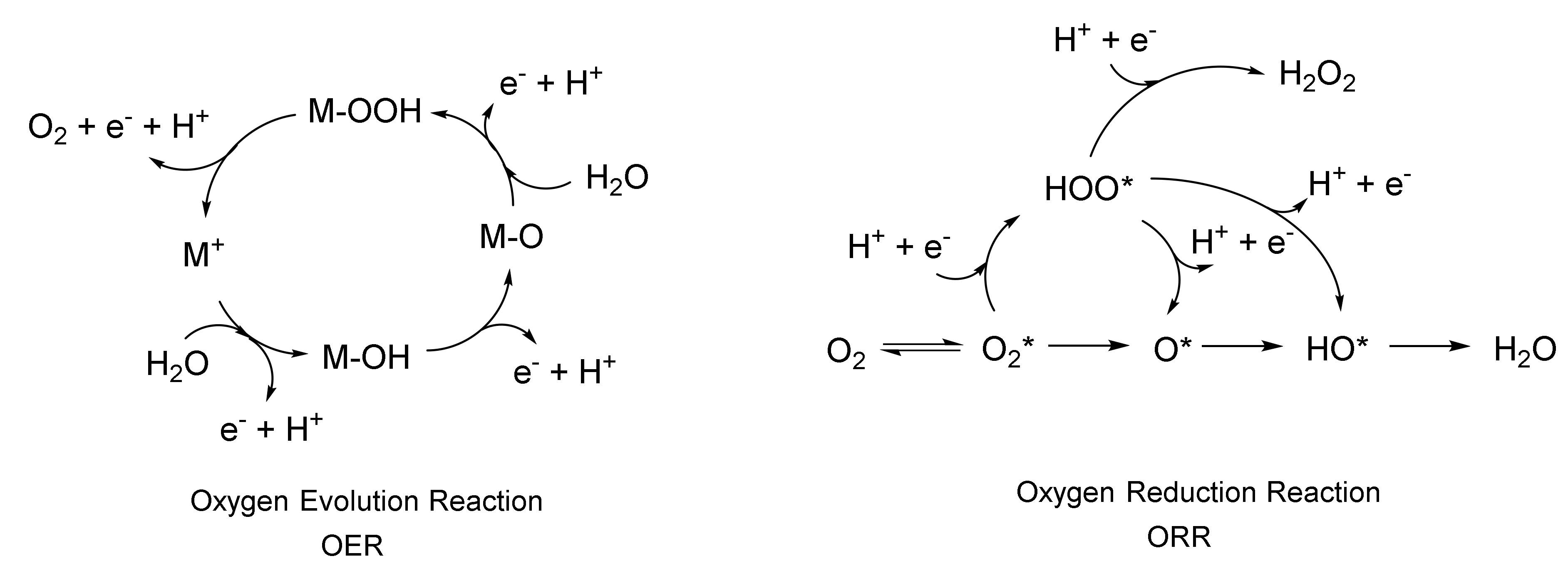 Catalysts 11 00096 g005 Catalysts 11 00096 g005