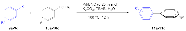 Catalysts 11 00096 i001