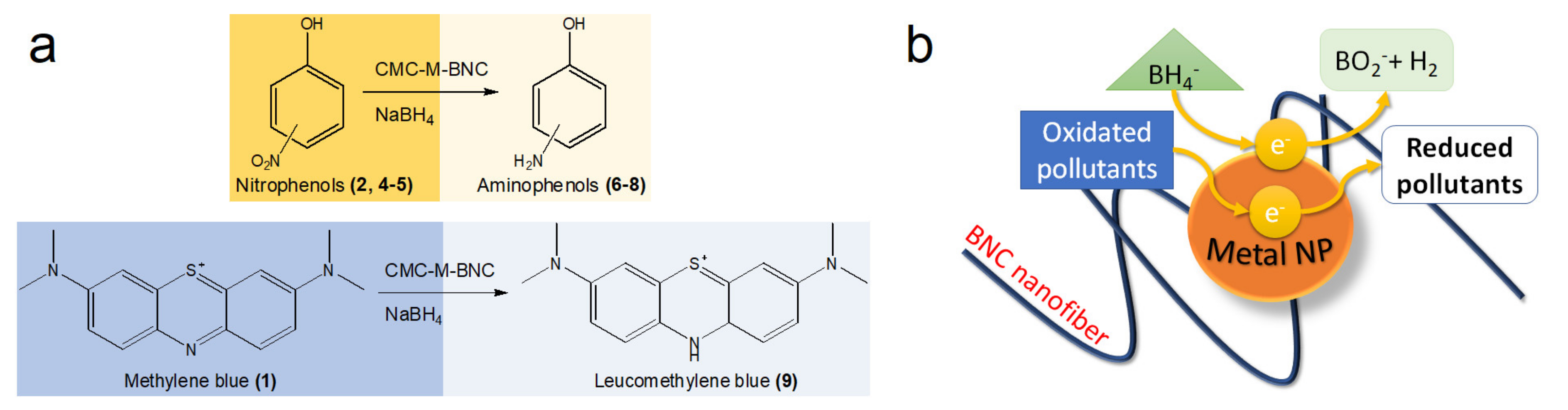 Catalysts 11 00096 sch002 Catalysts 11 00096 sch002