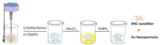 Catalysts 11 00096 sch003 550