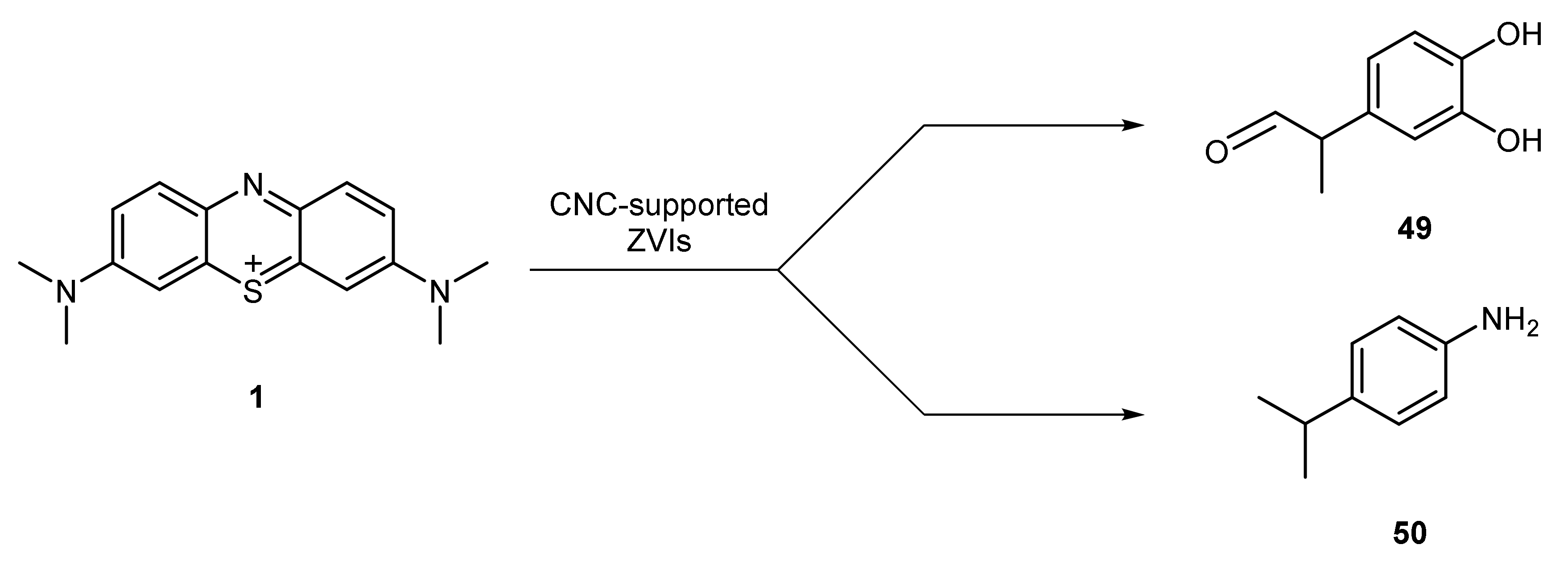 Catalysts 11 00096 sch014 Catalysts 11 00096 sch014