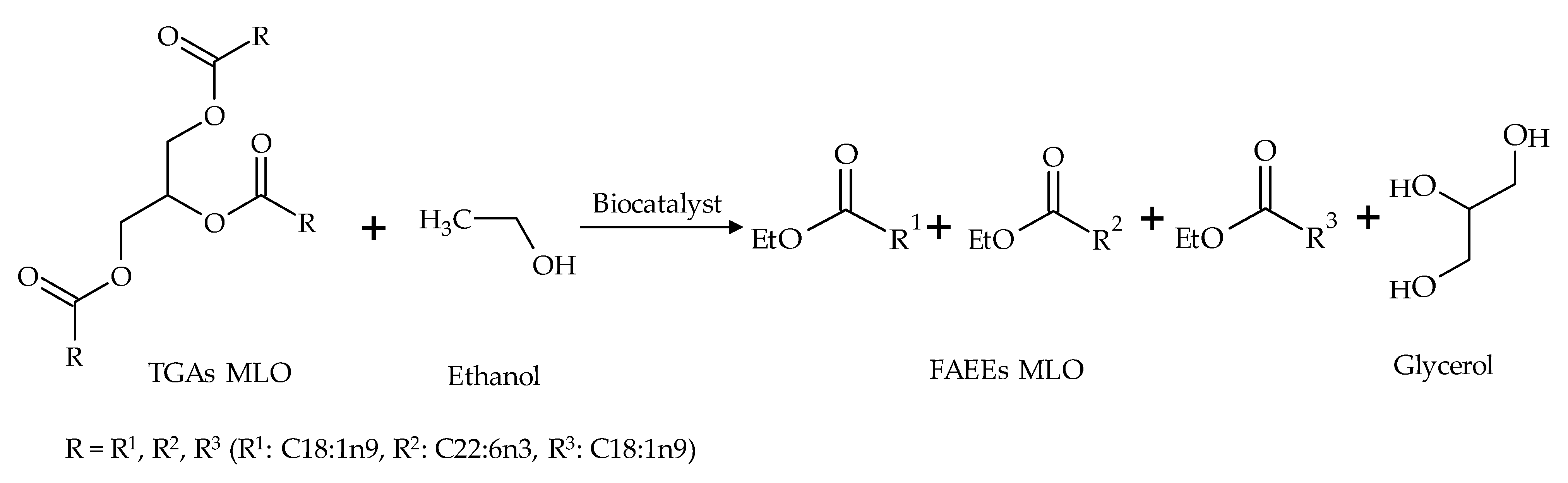 Catalysts 11 00100 g002