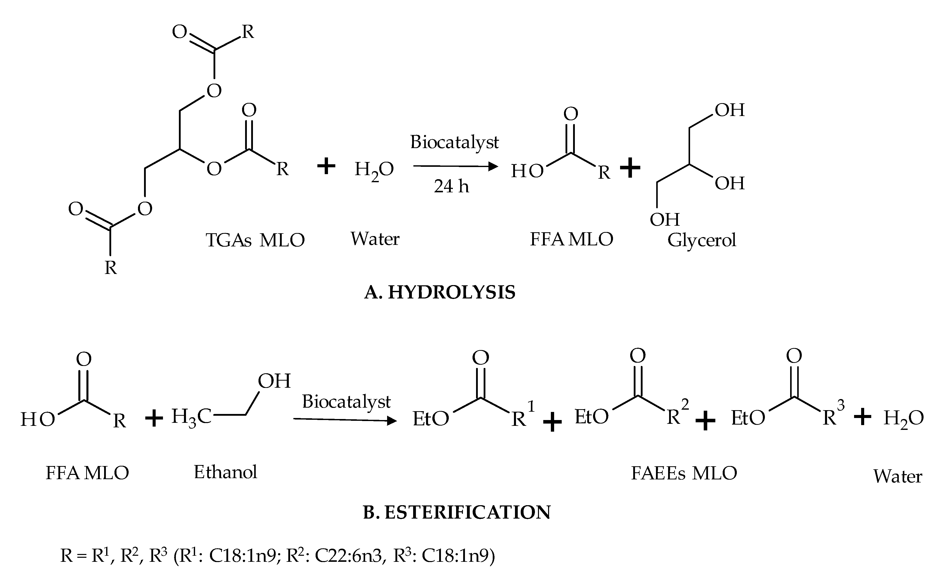 Catalysts Free FullText Sustainable Synthesis of Omega3 Fatty