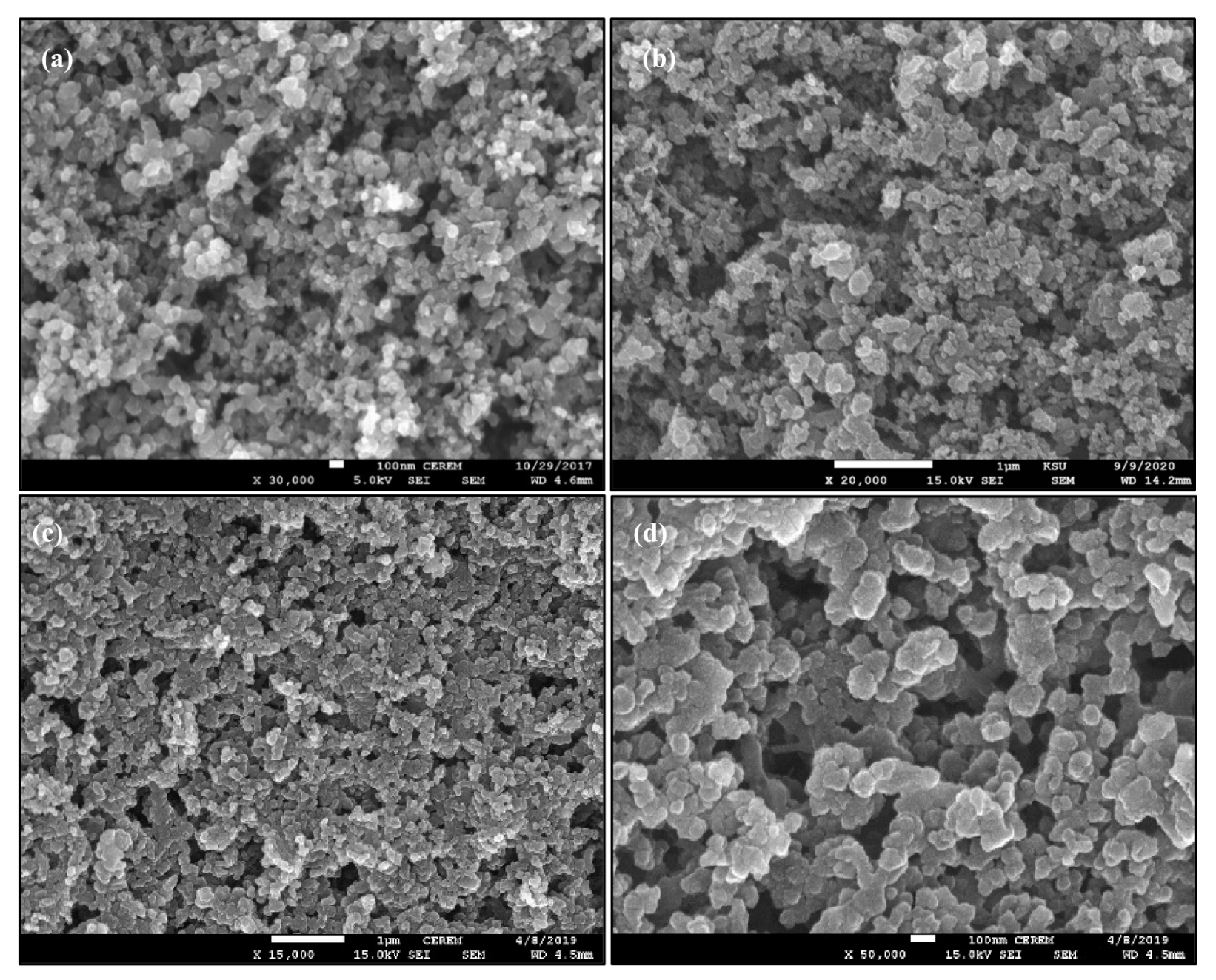 Catalysts 11 00102 g002
