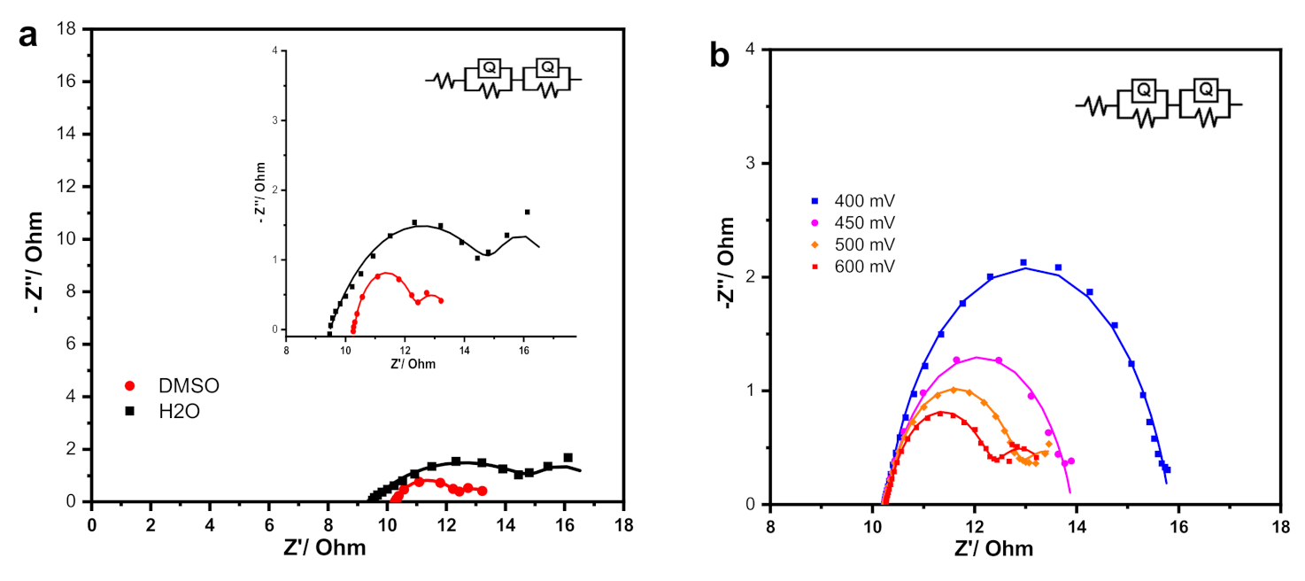 Catalysts 11 00102 g009