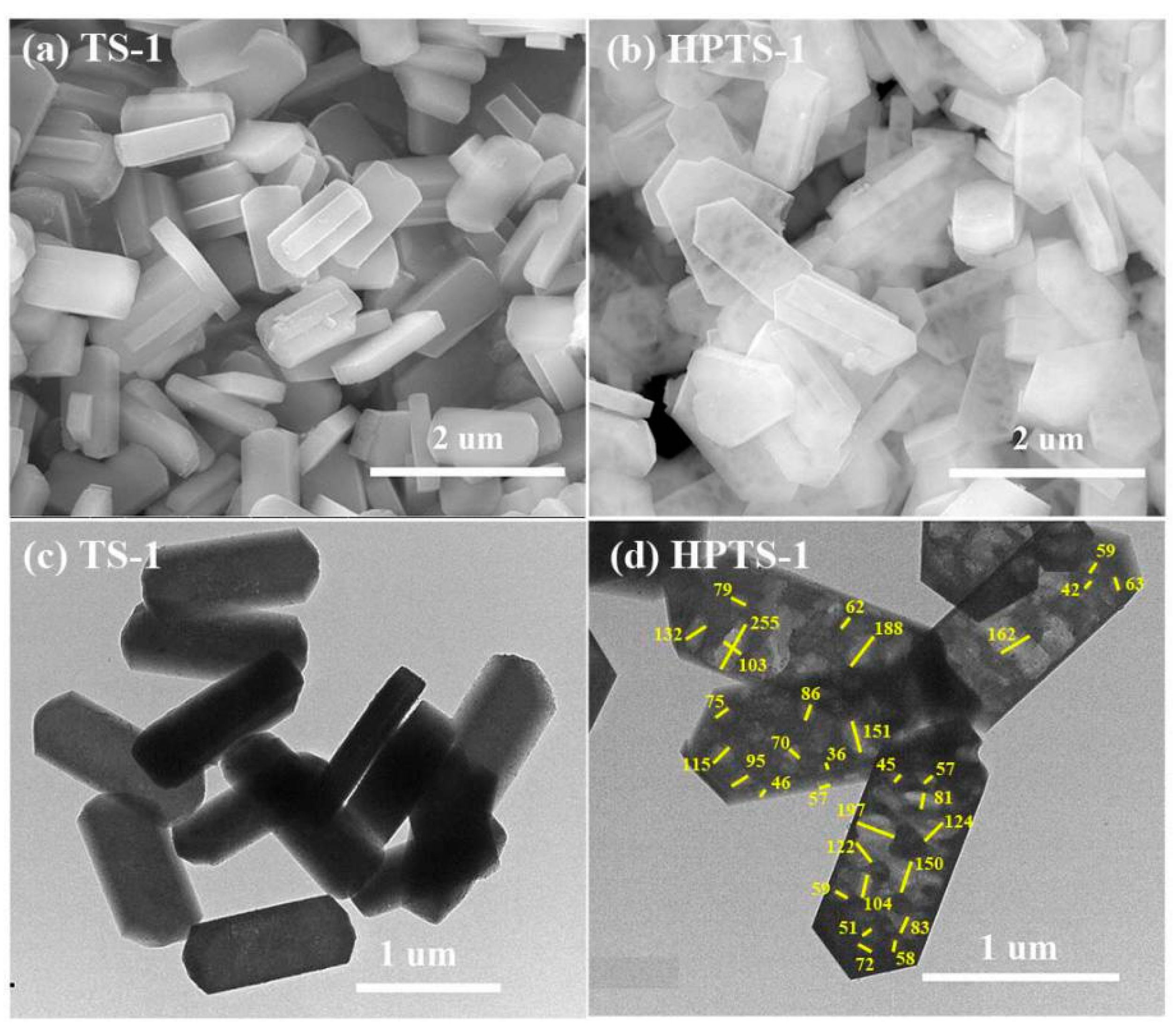 Catalysts 11 00113 g001 Catalysts 11 00113 g001