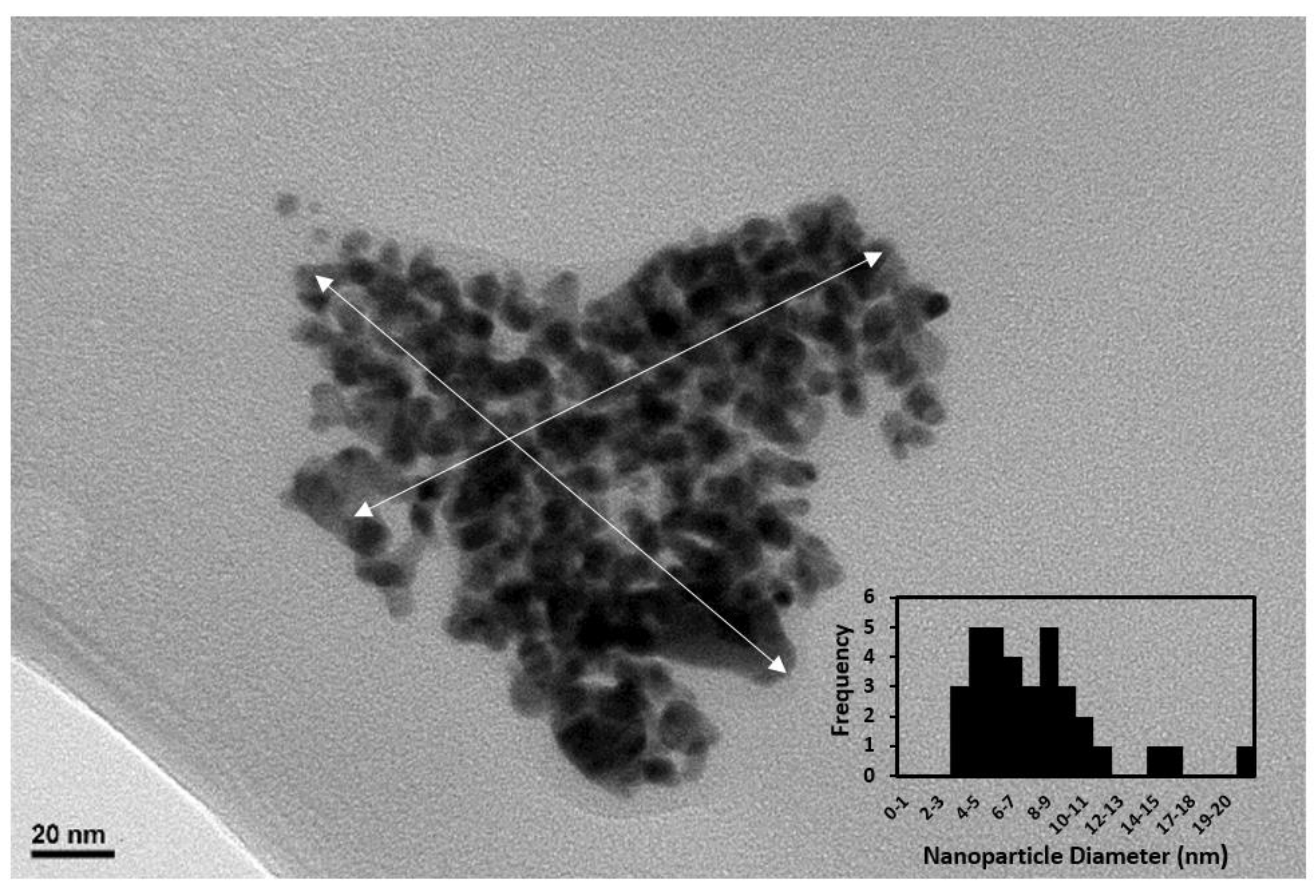 Catalysts 11 00118 g005 Catalysts 11 00118 g005
