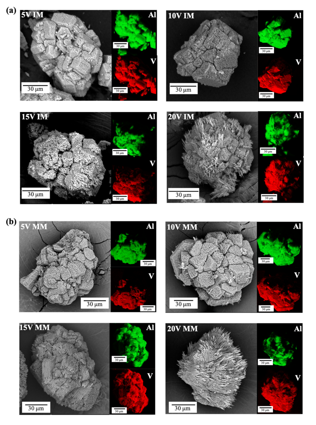 Catalysts 11 00119 g002 Catalysts 11 00119 g002