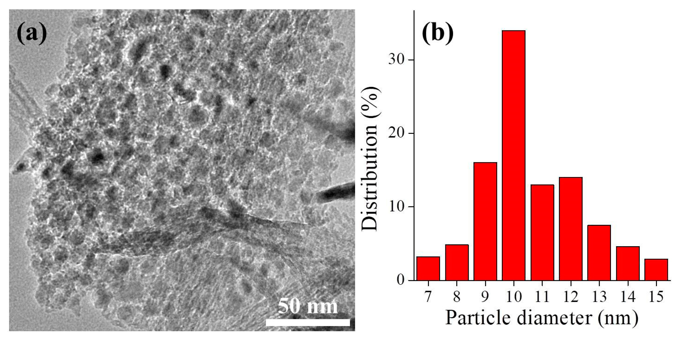 Catalysts 11 00121 g011 Catalysts 11 00121 g011