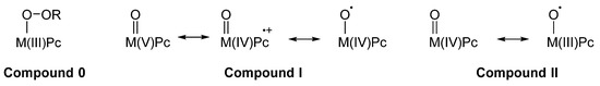 Catalysts 11 00122 g004 550