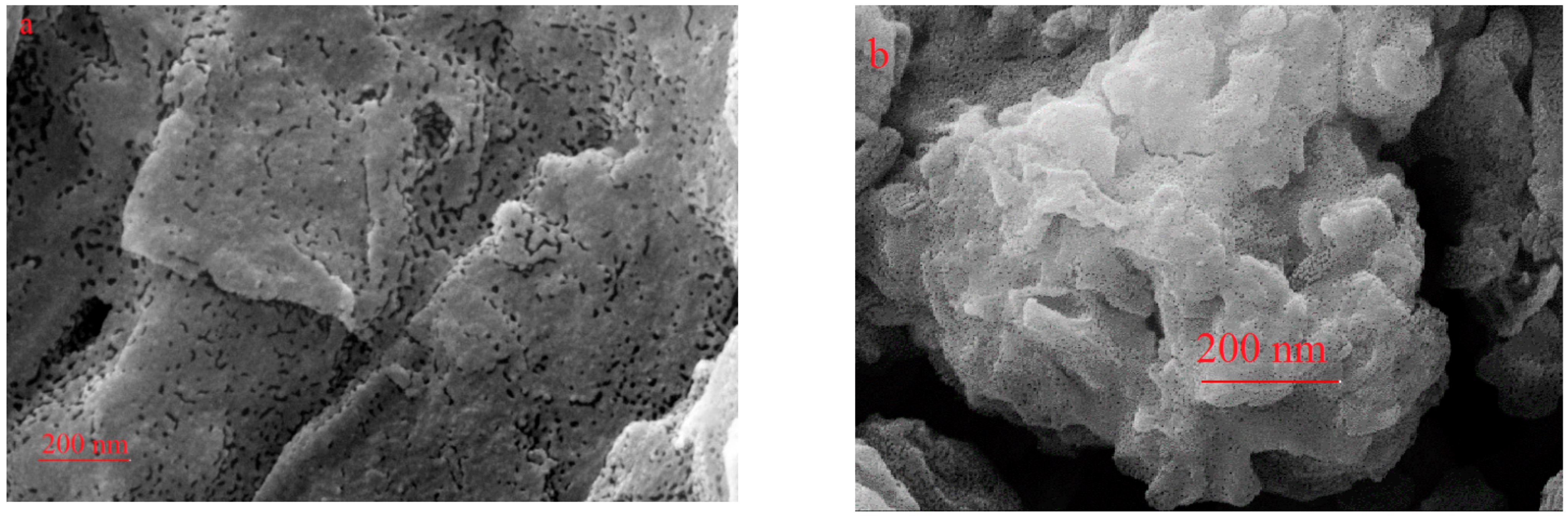 Catalysts 11 00126 g005 Catalysts 11 00126 g005