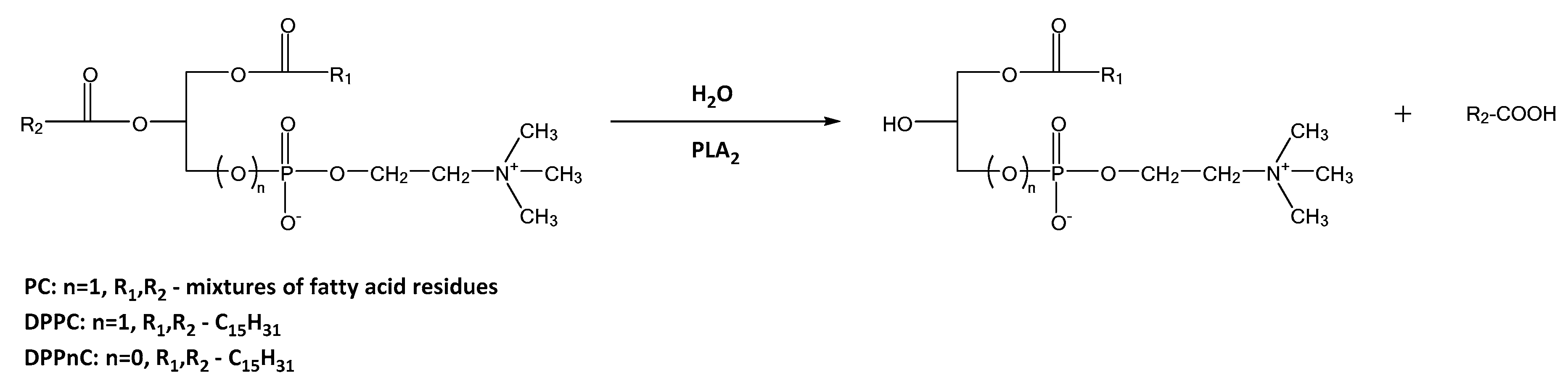 Catalysts 11 00129 sch003