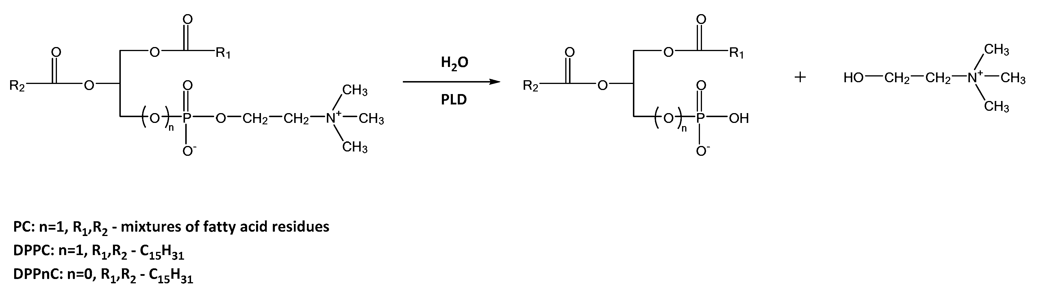 Catalysts 11 00129 sch004