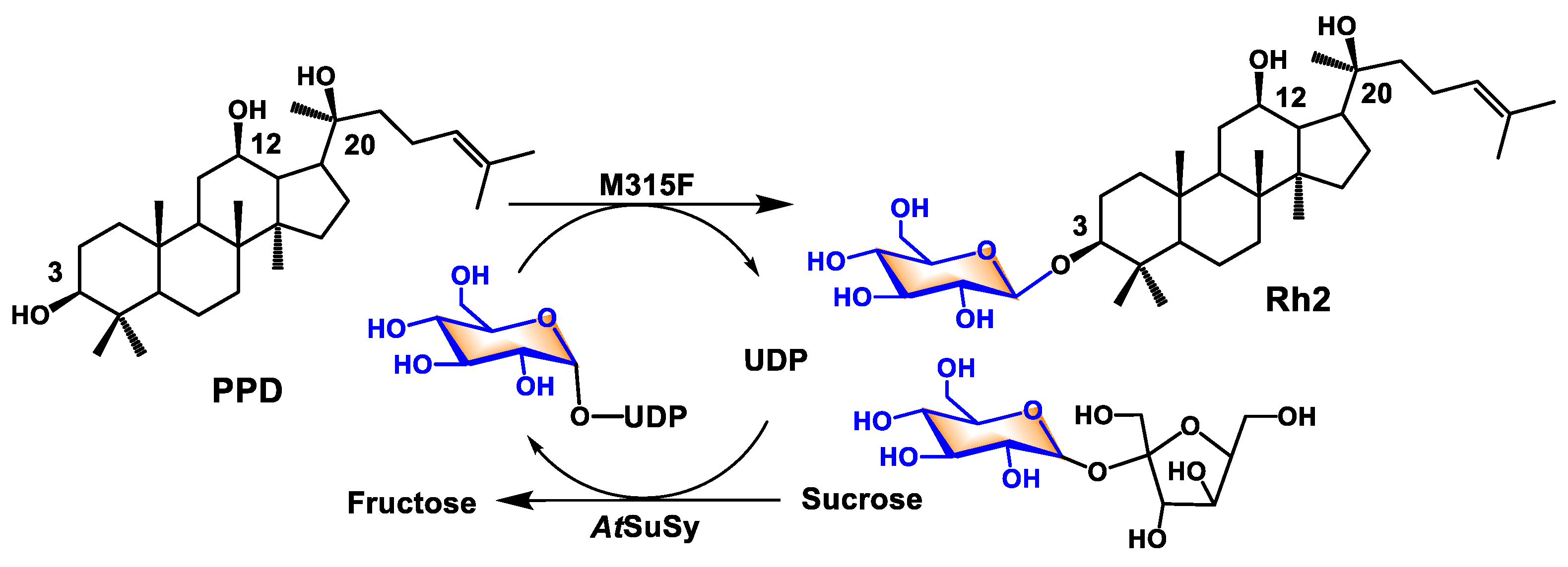 Catalysts 11 00132 sch001