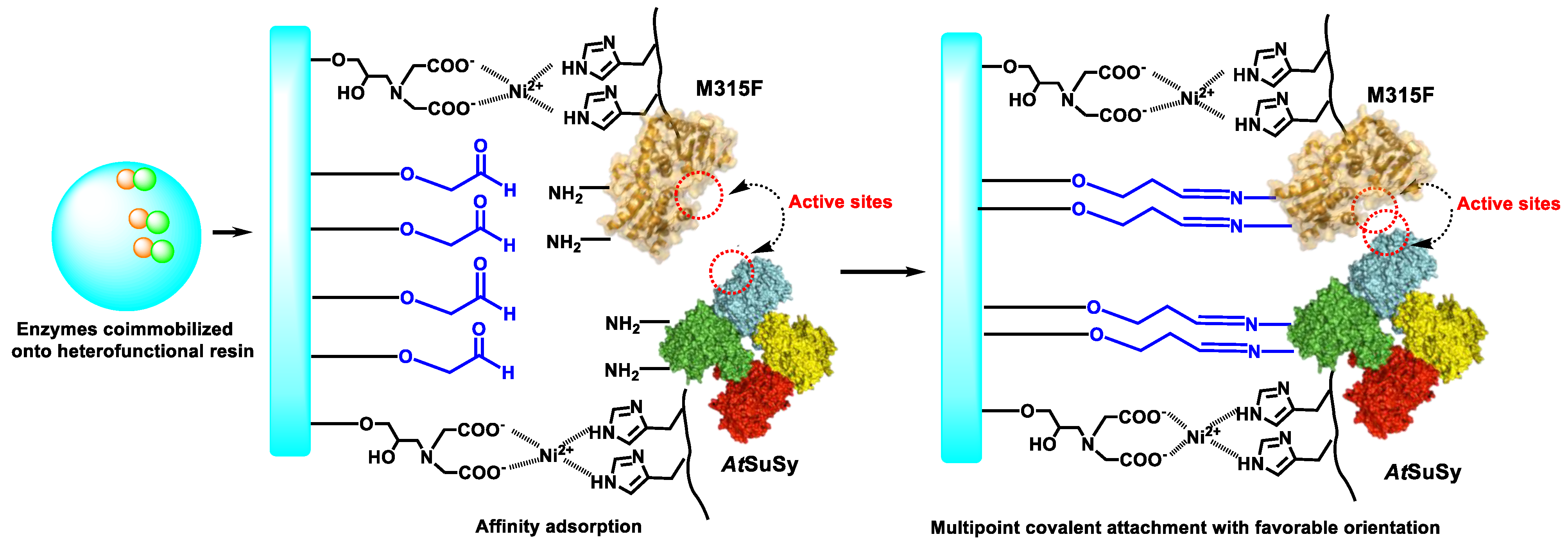 Catalysts 11 00132 sch002