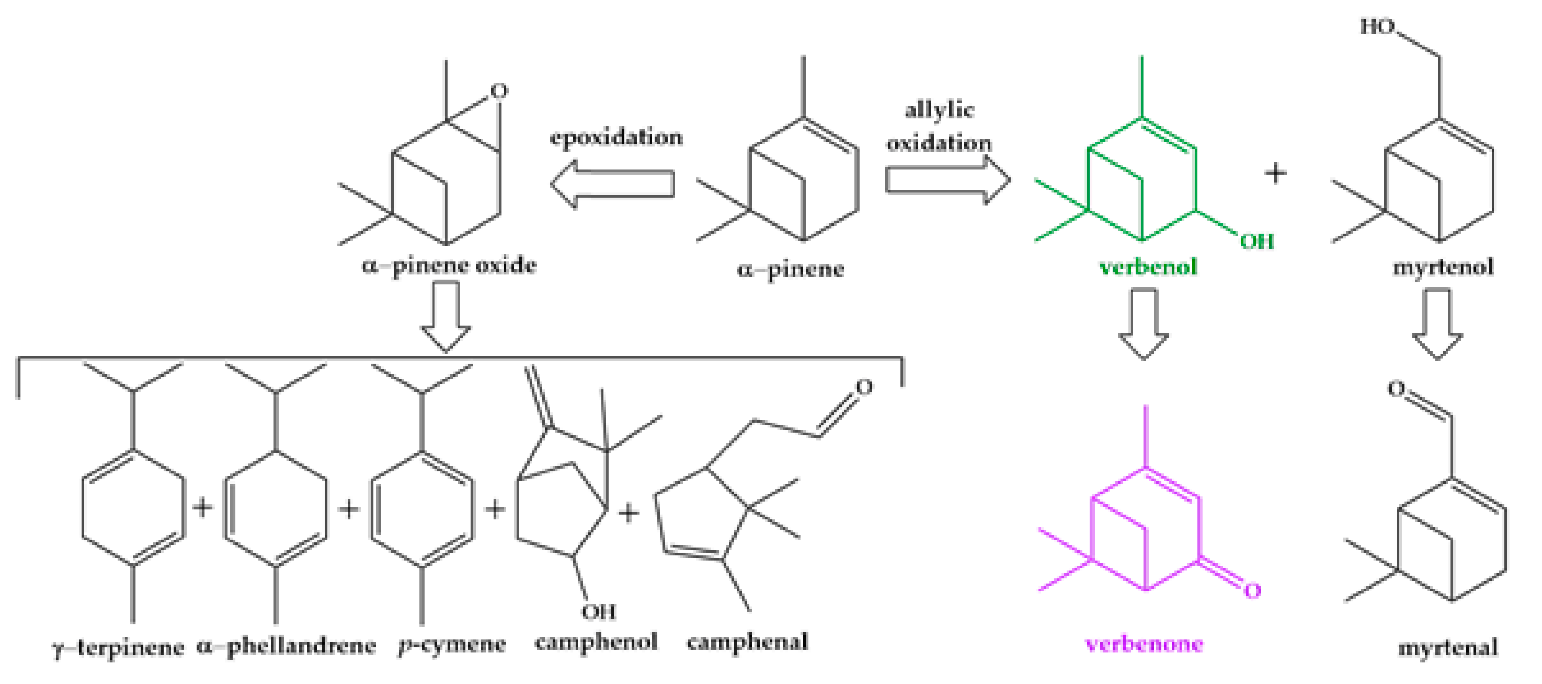 Catalysts 11 00134 sch001