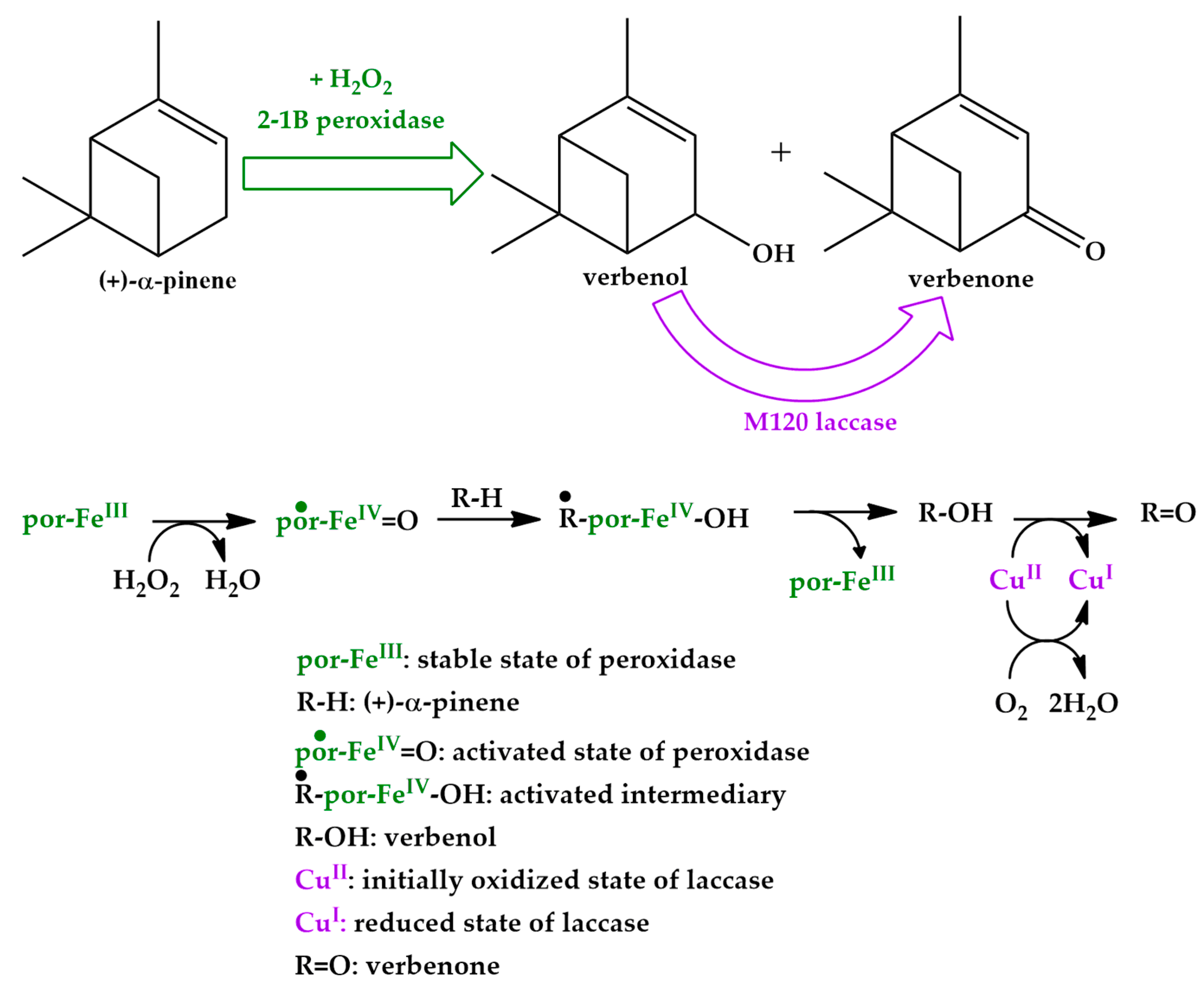 Catalysts 11 00134 sch002