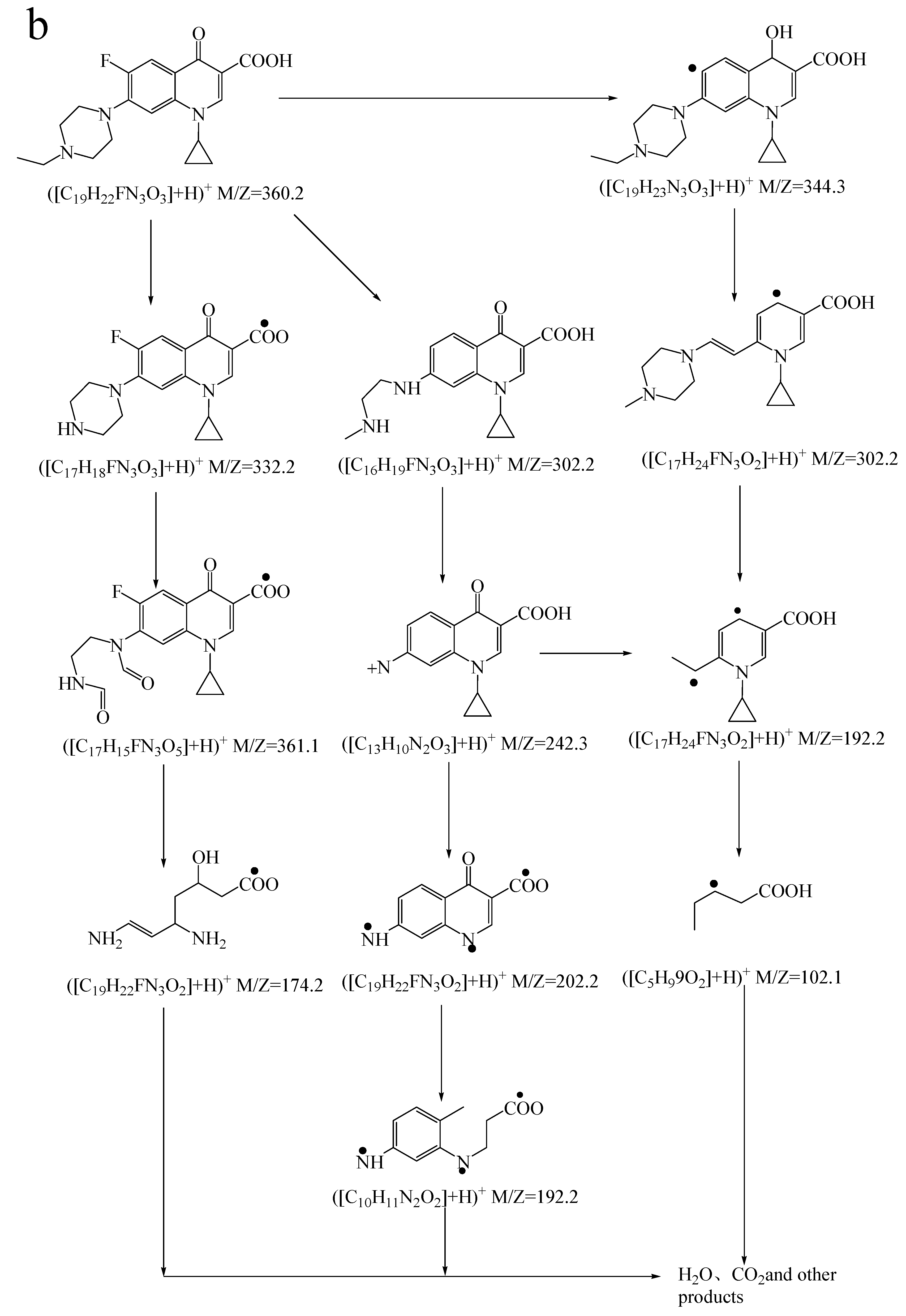 Catalysts 11 00135 g007b