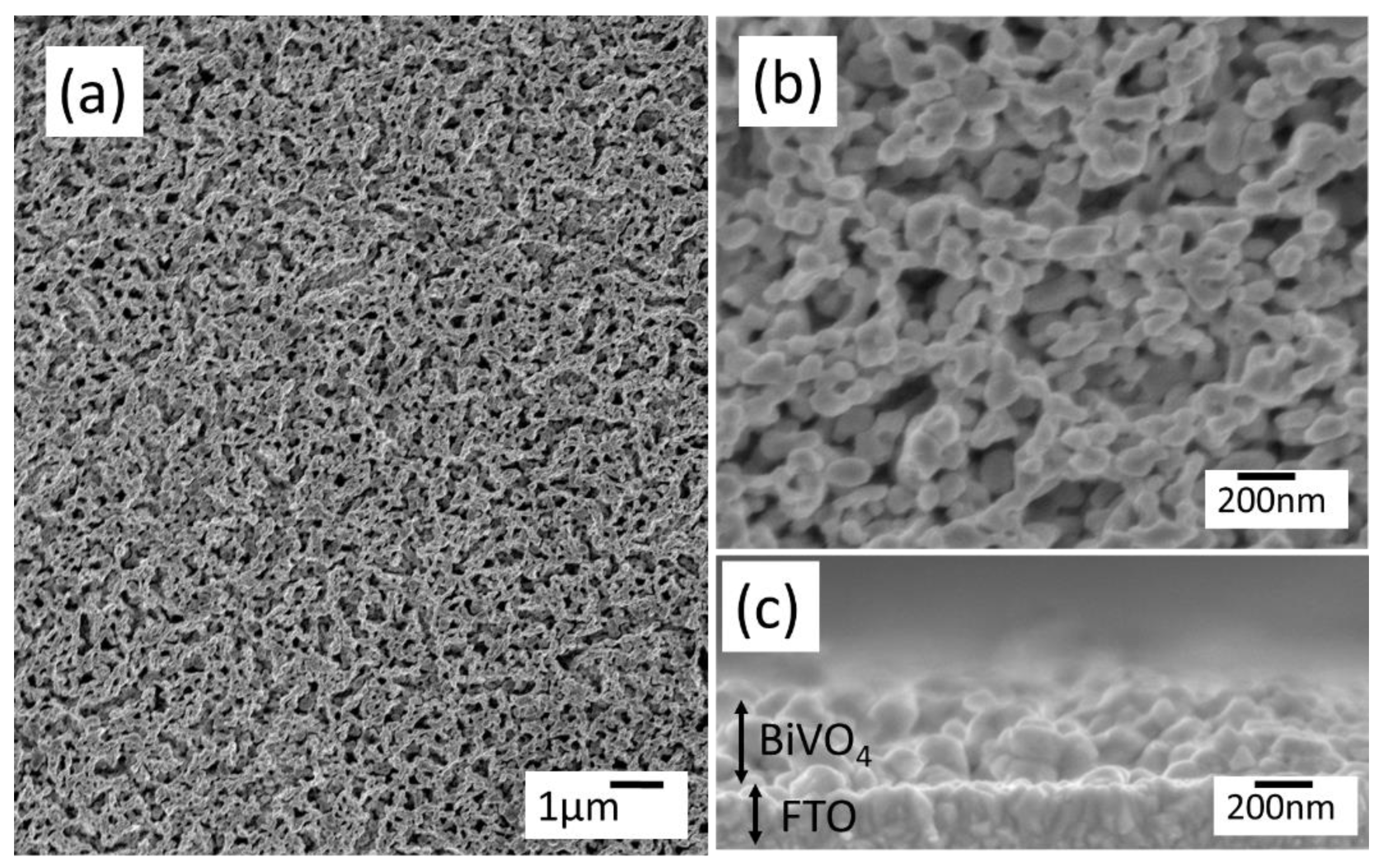 Catalysts 11 00136 g005