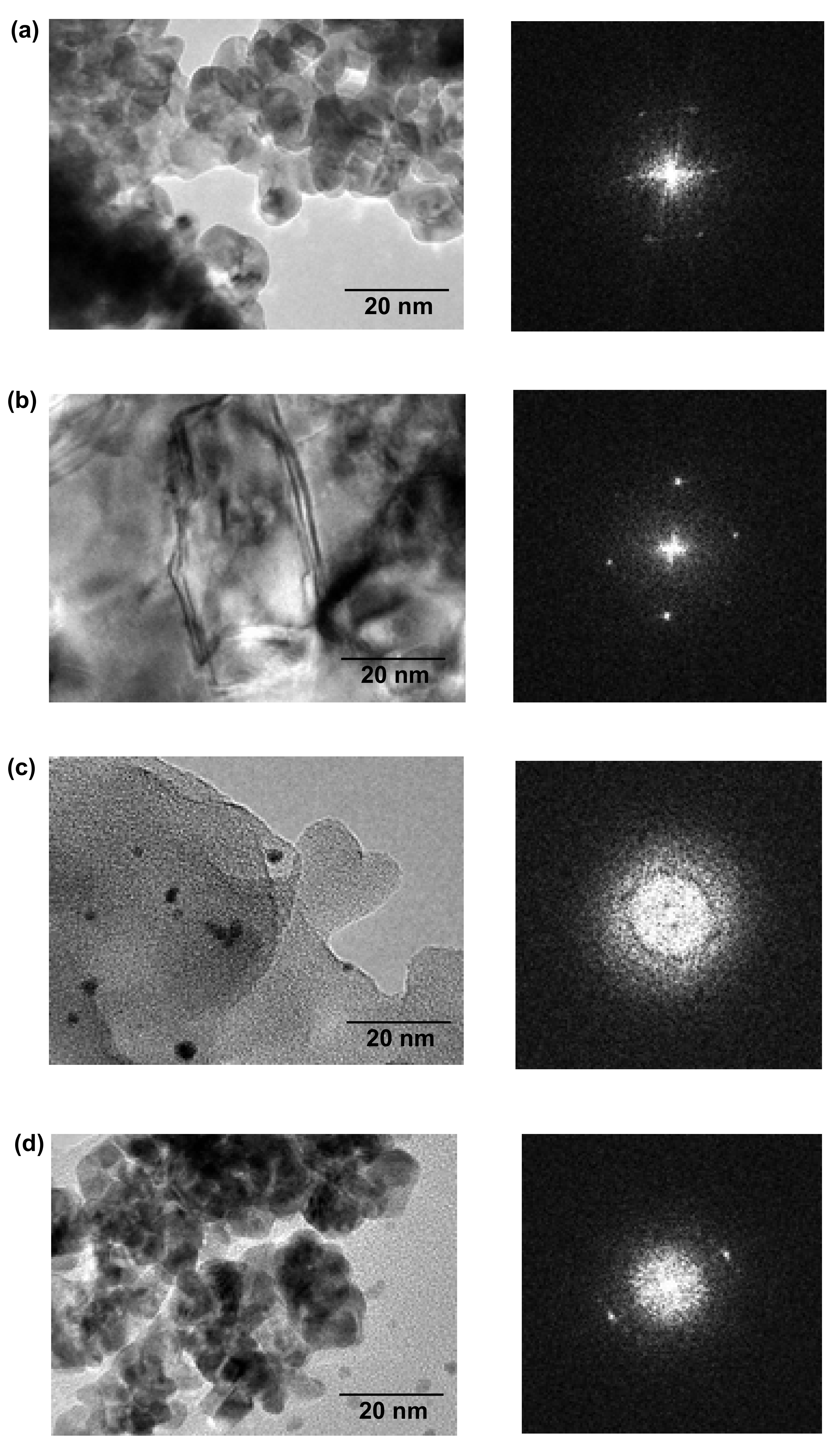 Catalysts 11 00137 g003