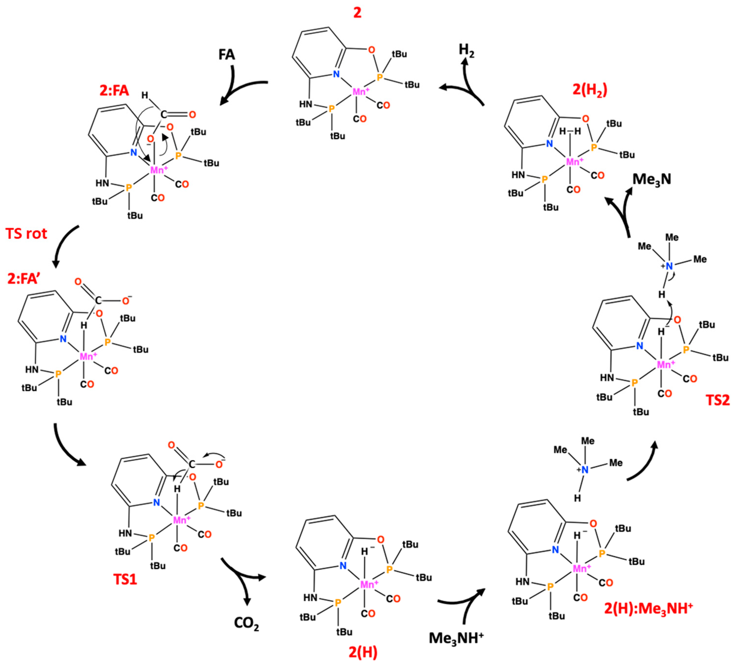 Catalysts 11 00141 sch003 Catalysts 11 00141 sch003
