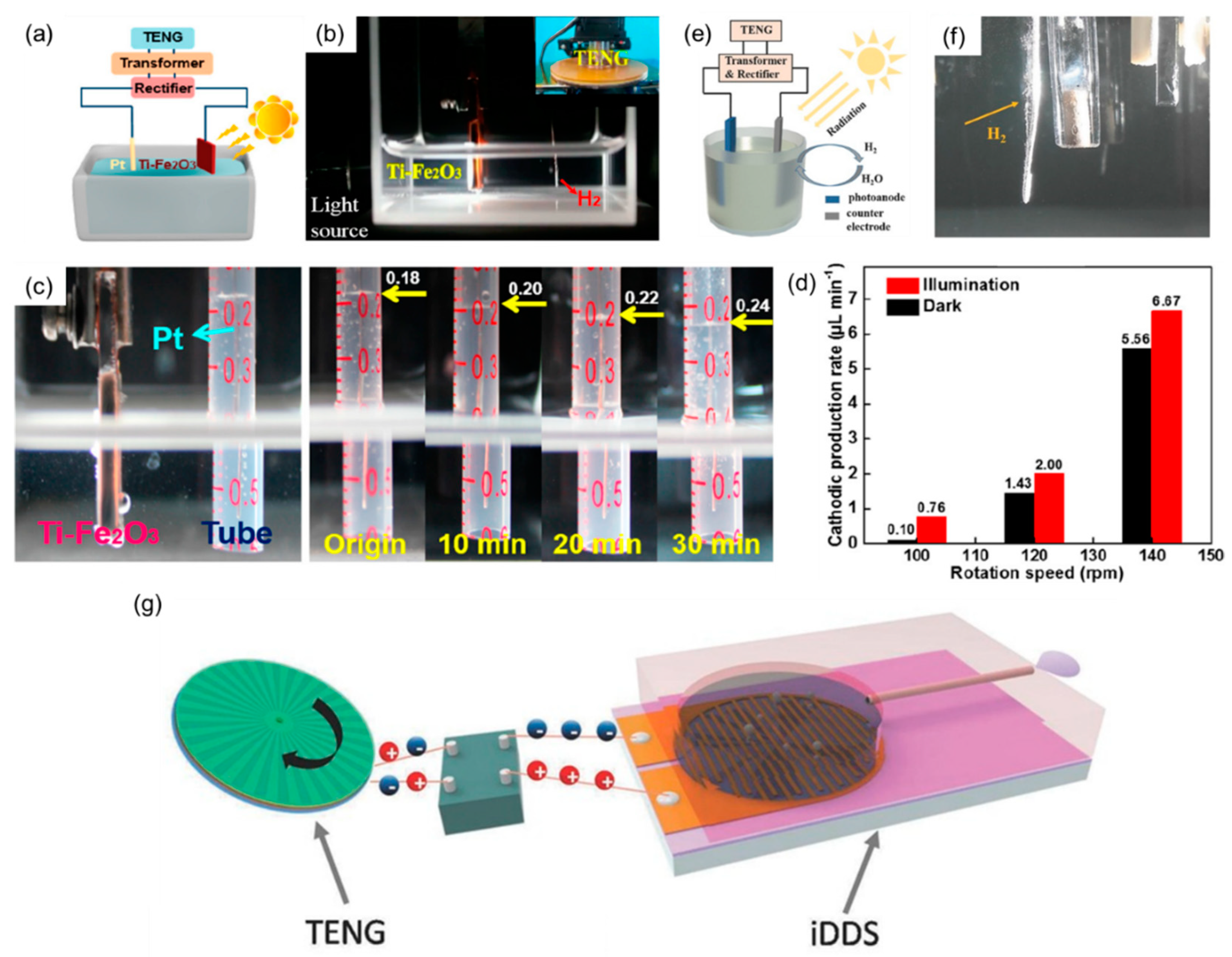 Catalysts 11 00142 g009 Catalysts 11 00142 g009