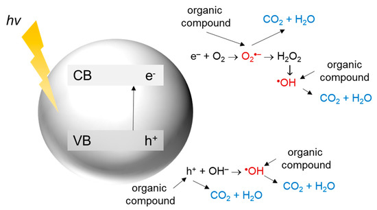 Catalysts 11 00144 g002 550