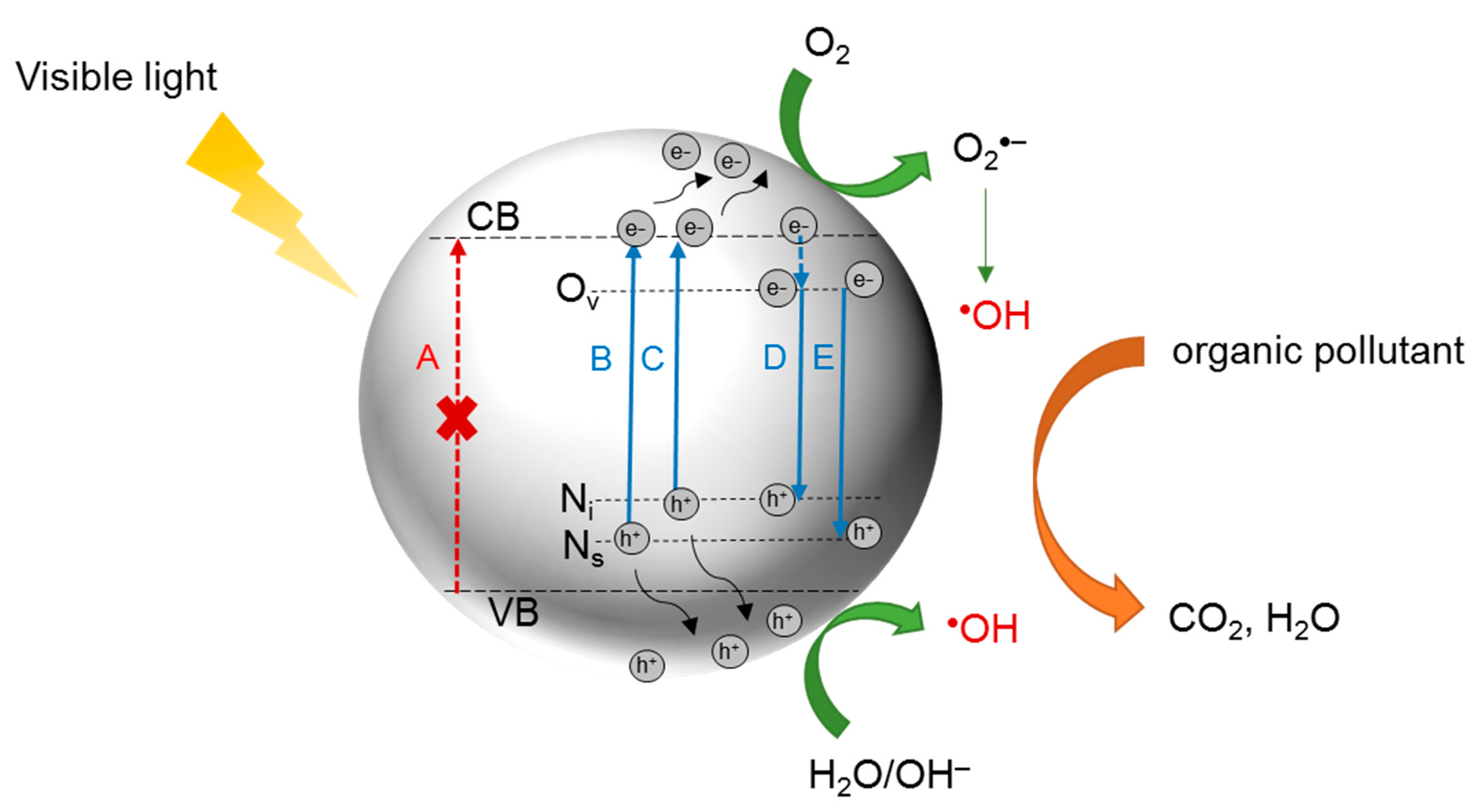 Catalysts 11 00144 g008